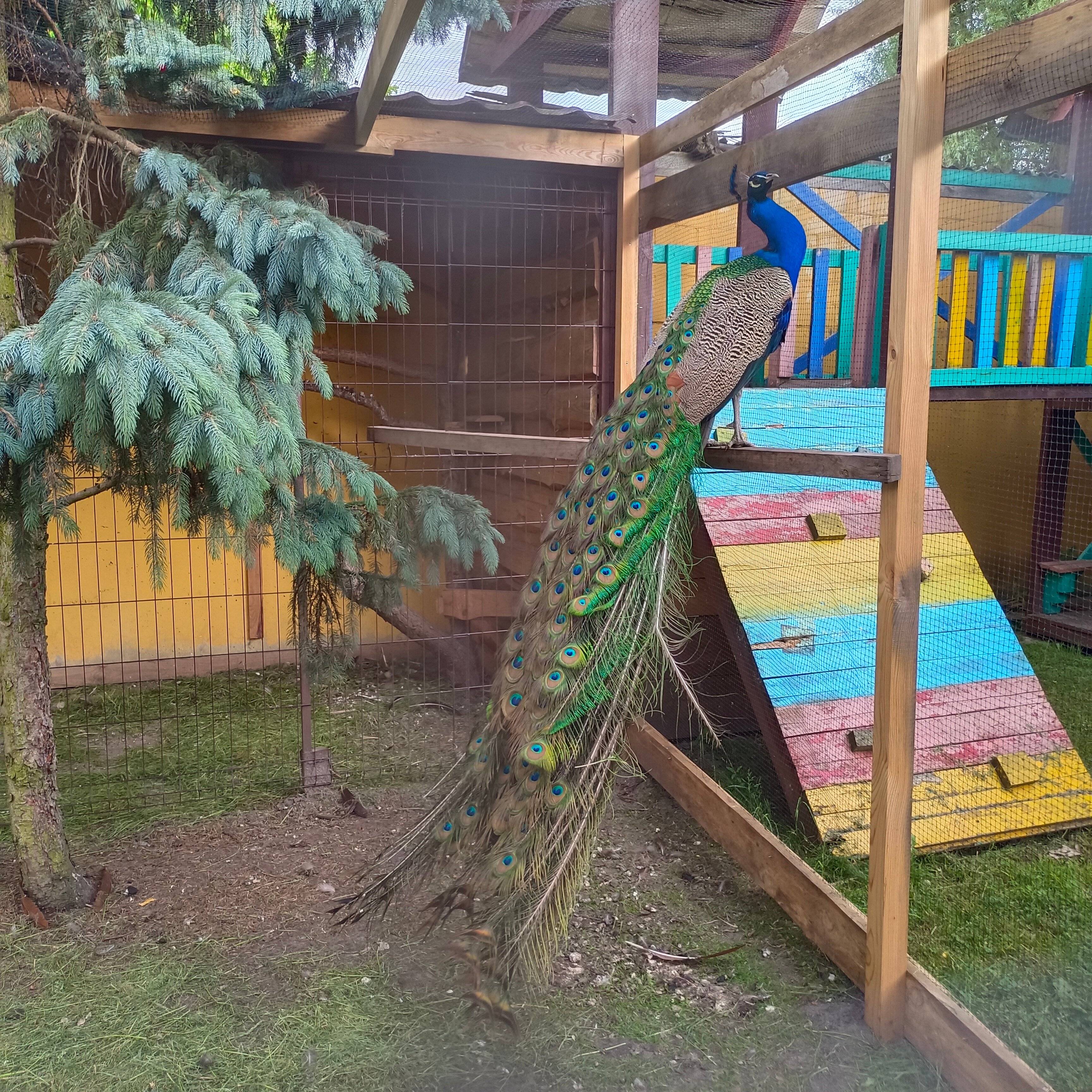 Фото Прибрежный