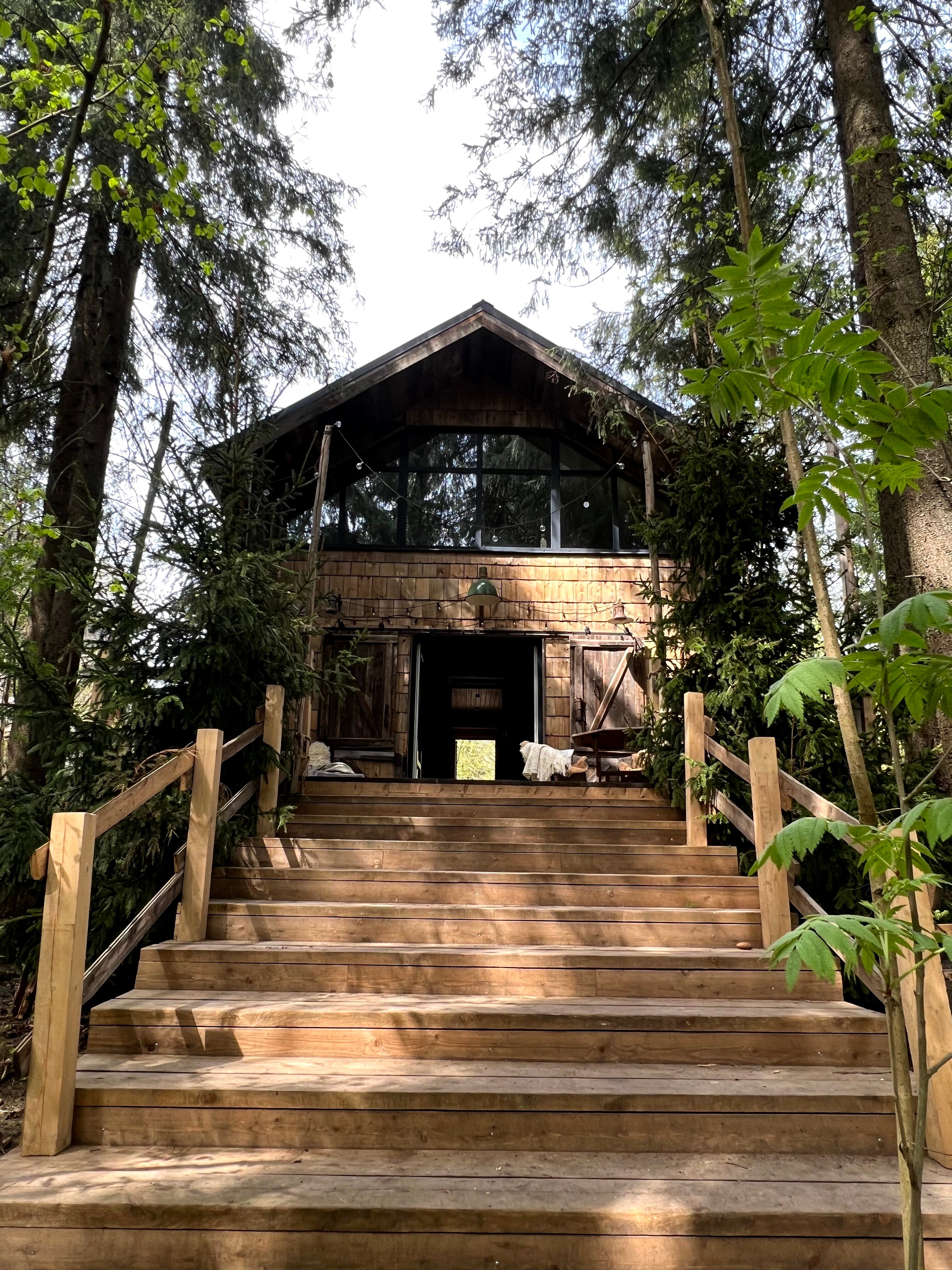 Фото Домик в лесу