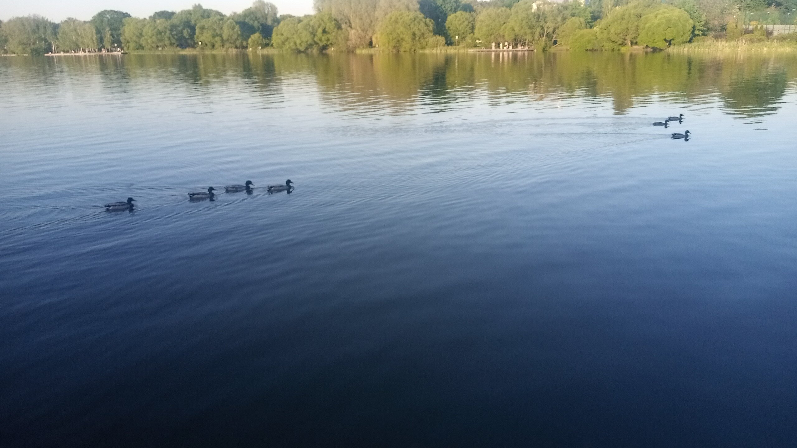 Фото Переделкино