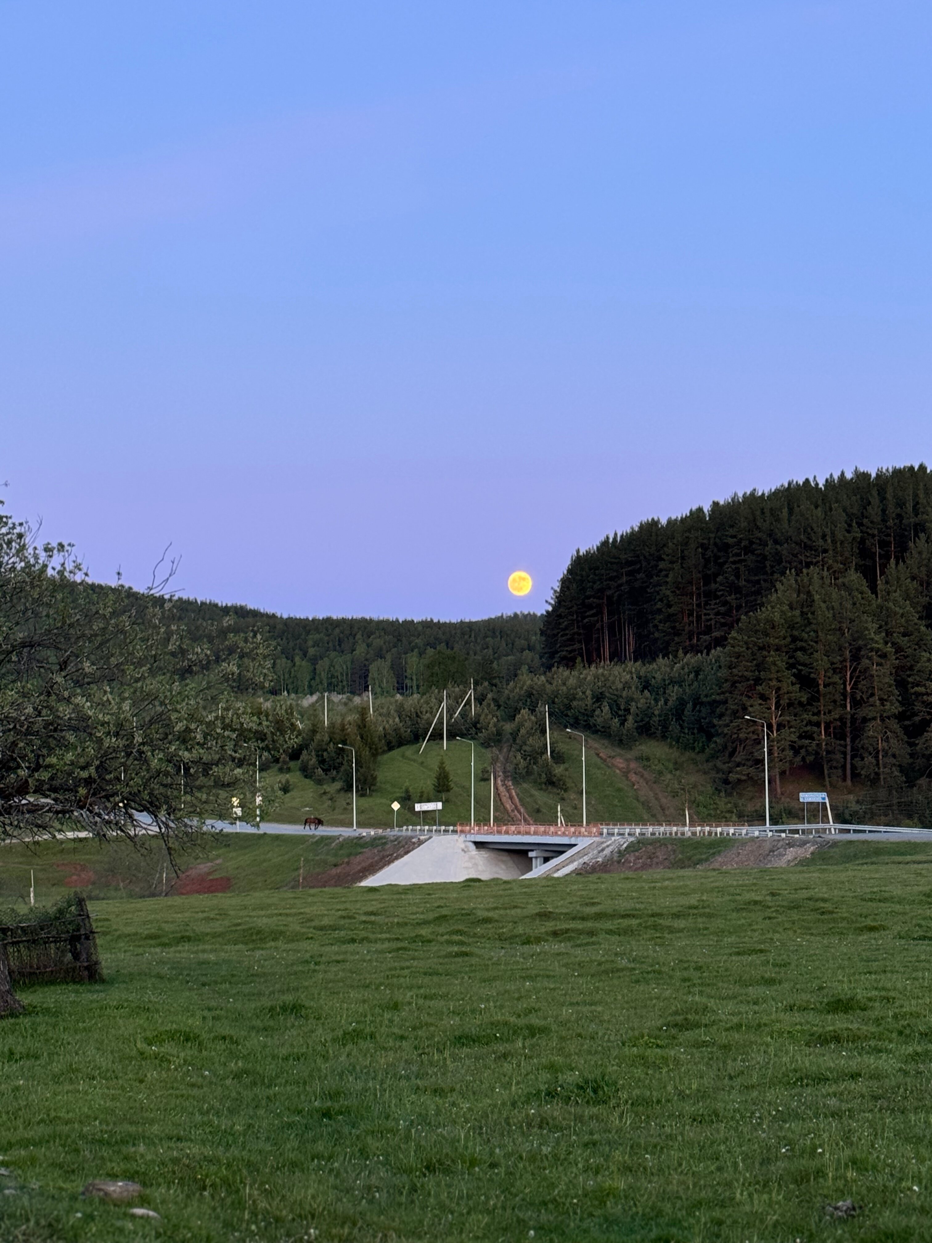 Фото Родина