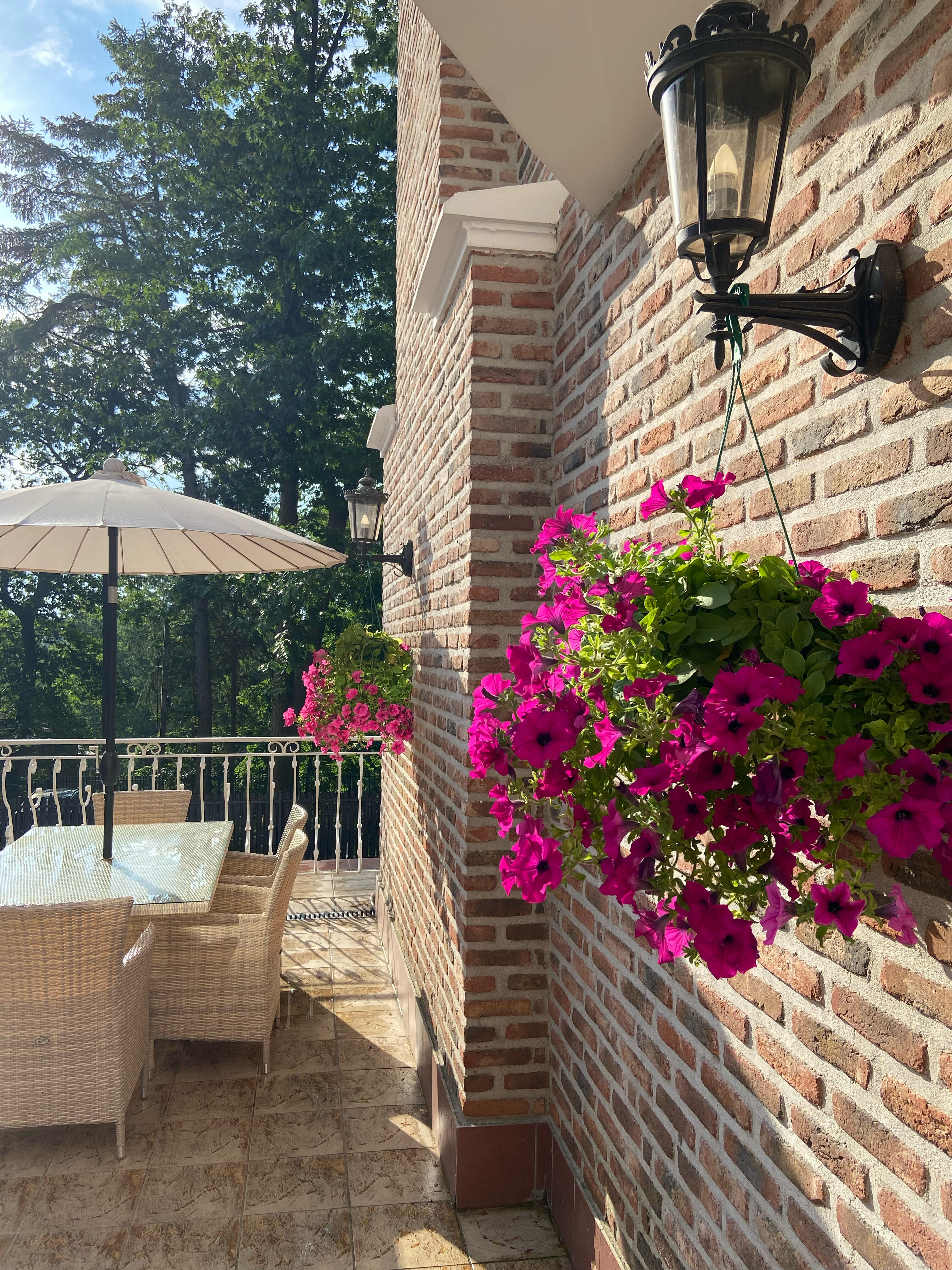 Фото Royal Falke Resort & SPA