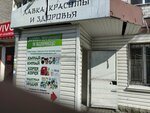 Beauty and Health shop (Altynsarin Street, 132), perfume and cosmetics shop
