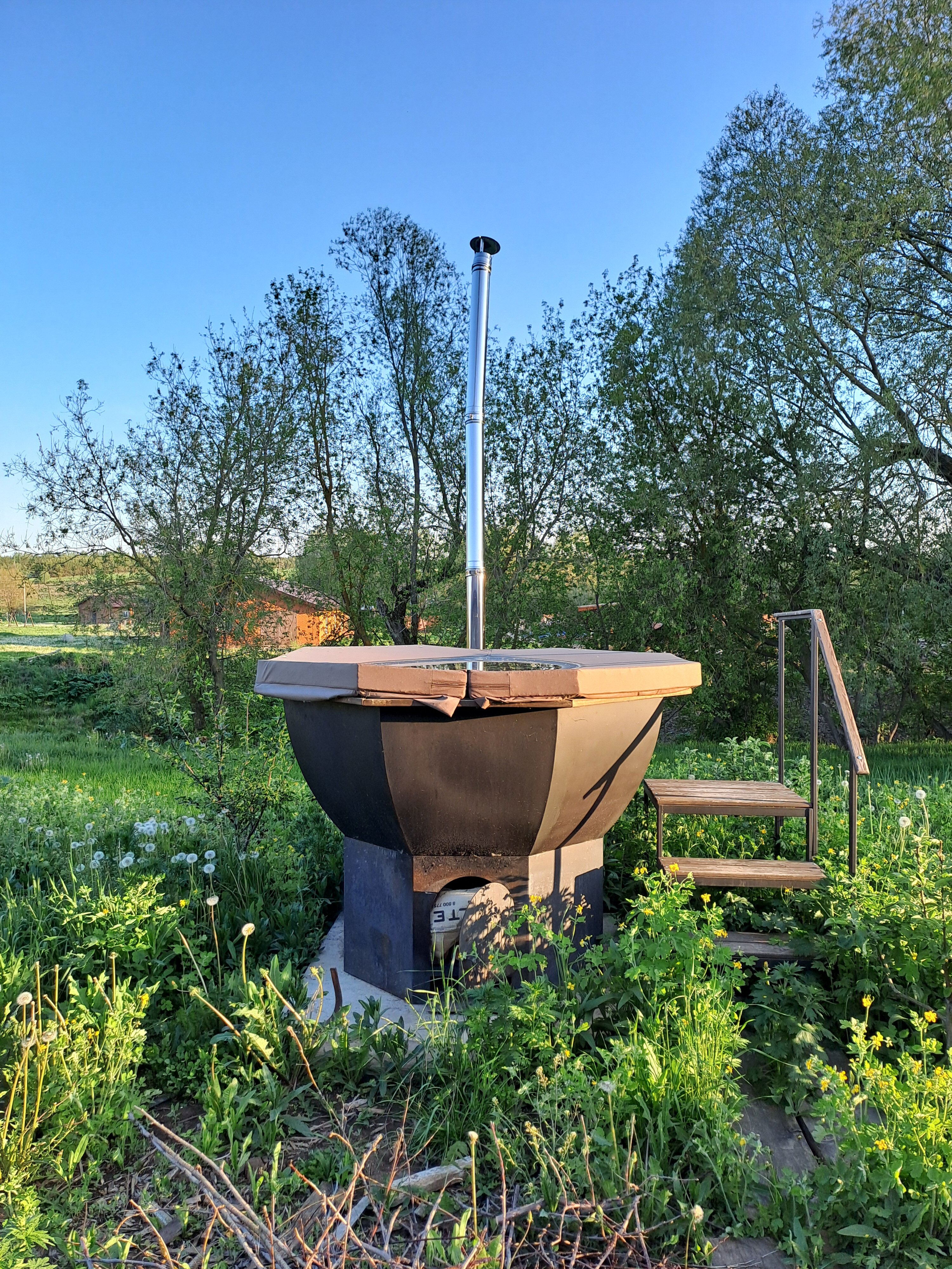 Фото Ёлки-Палки