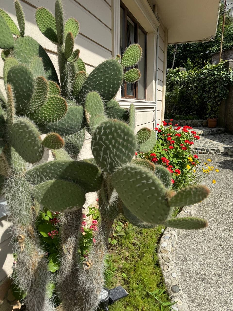 Фото SV Hotel Batumi