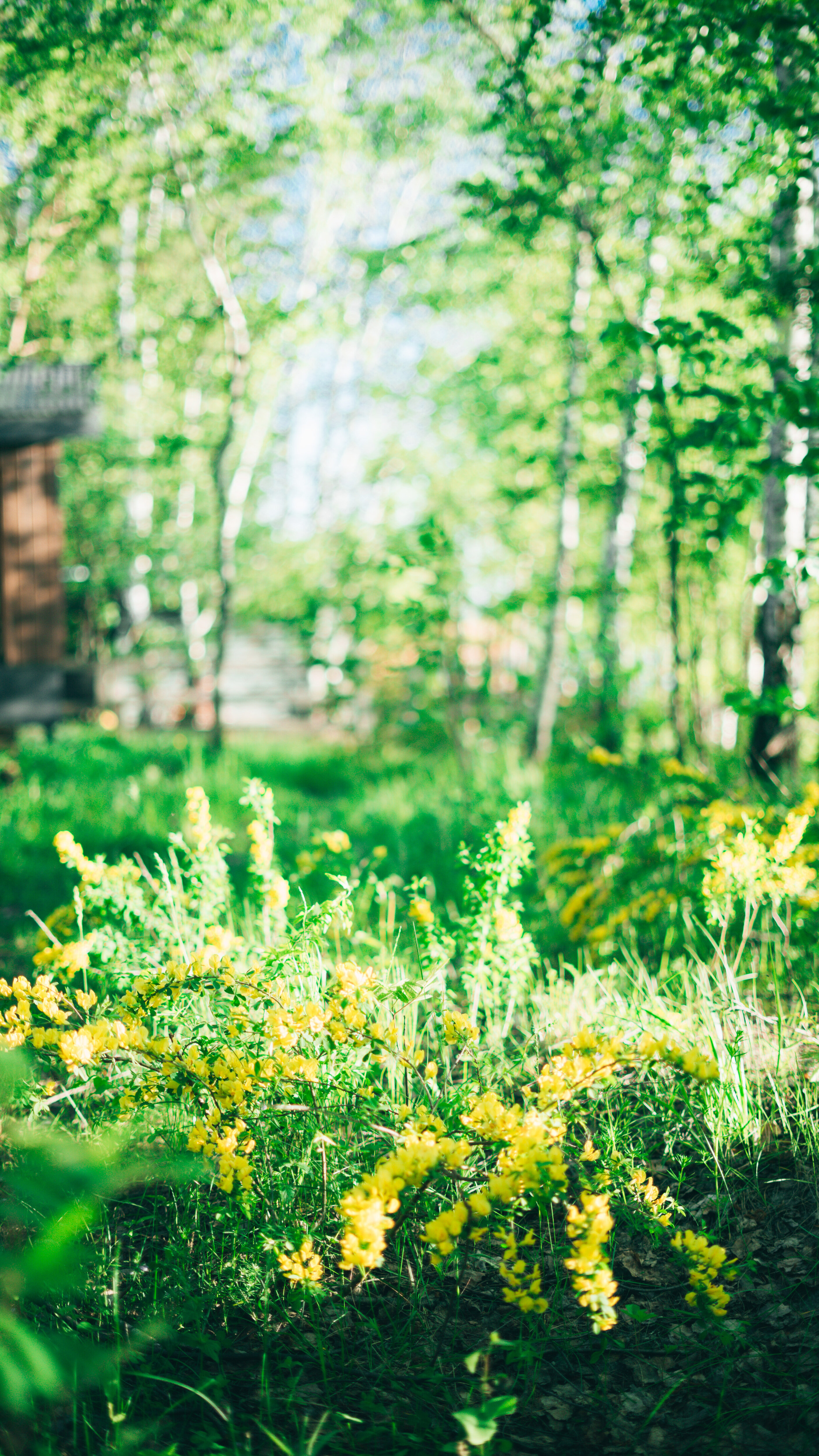 Фото Слобода