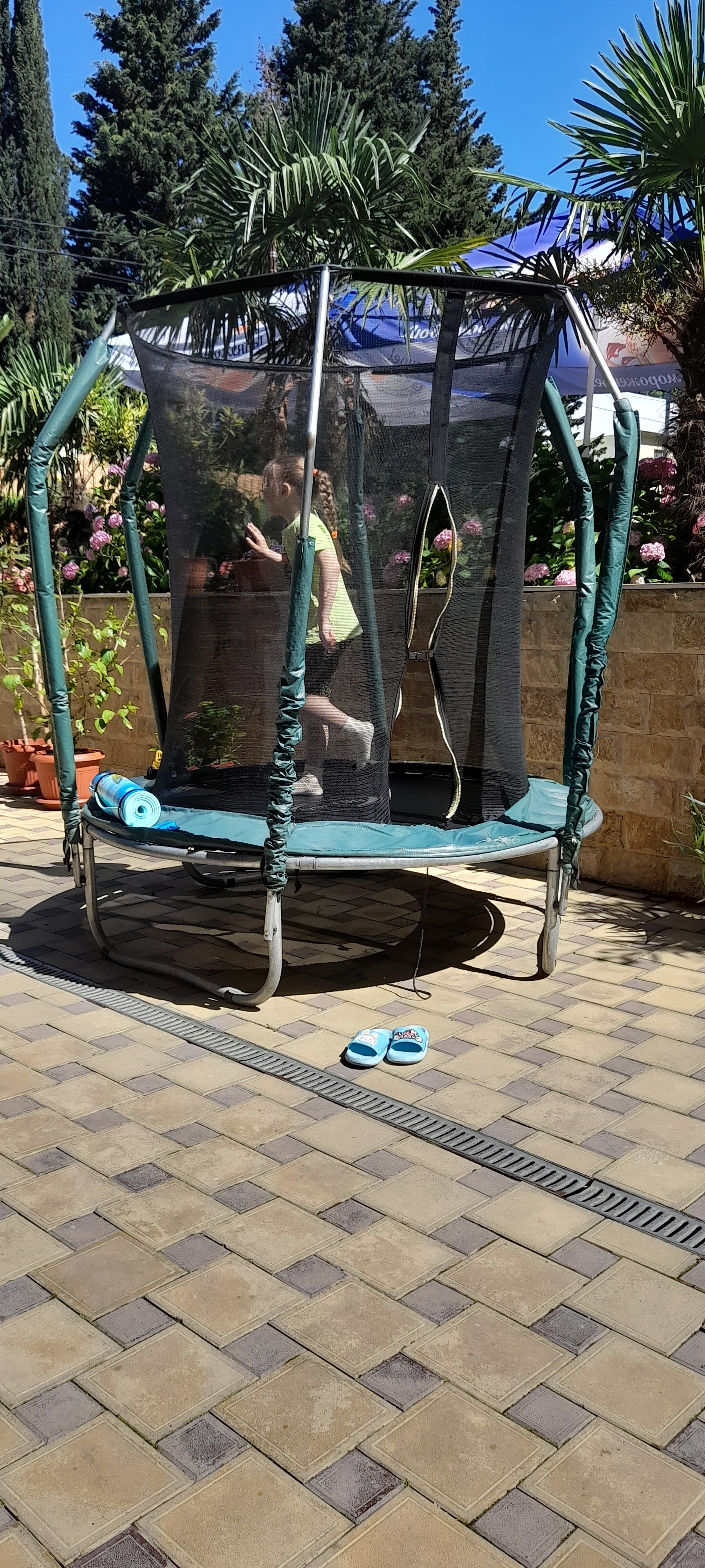 Фото Гостиница Диана