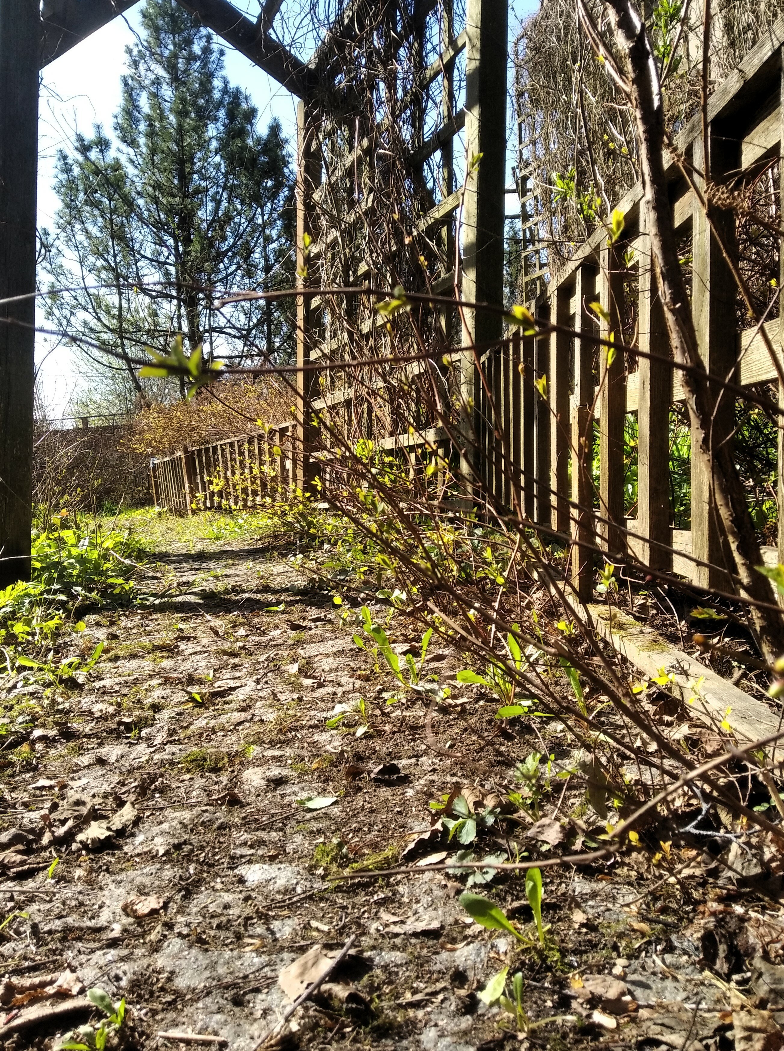 Фото Домики в Саду