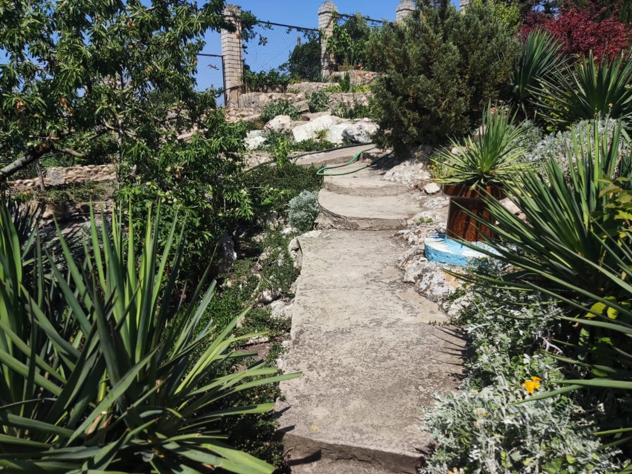 Фото Регата