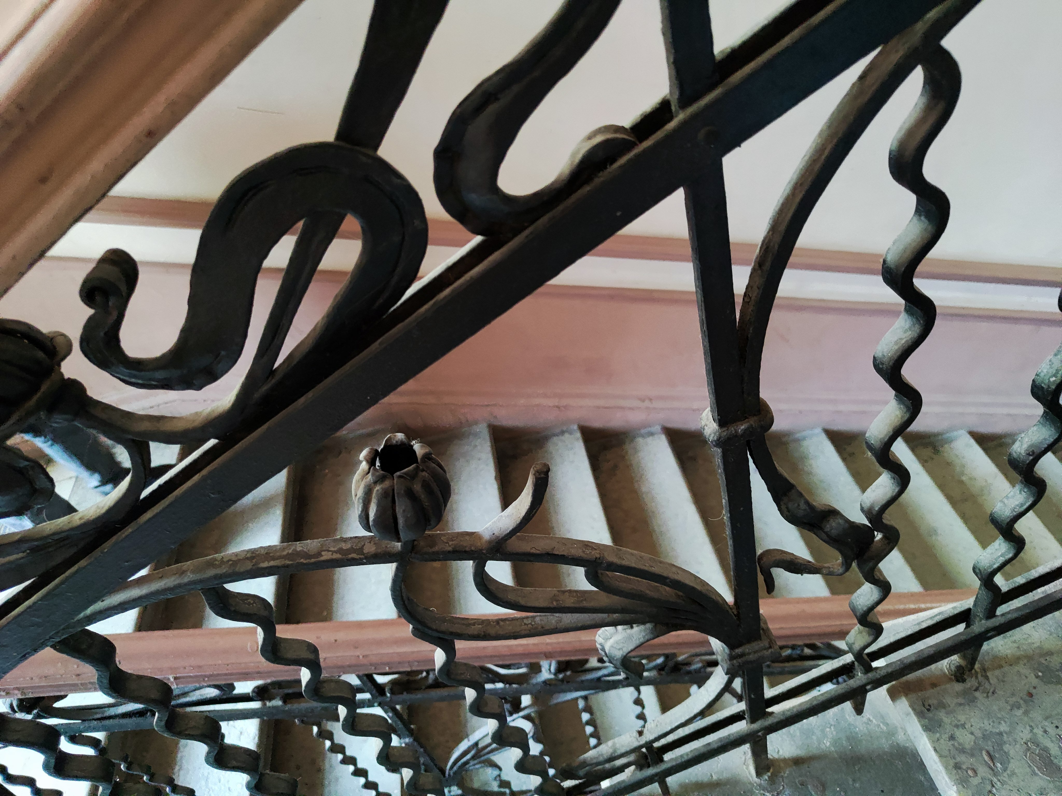 Фото Октавиана