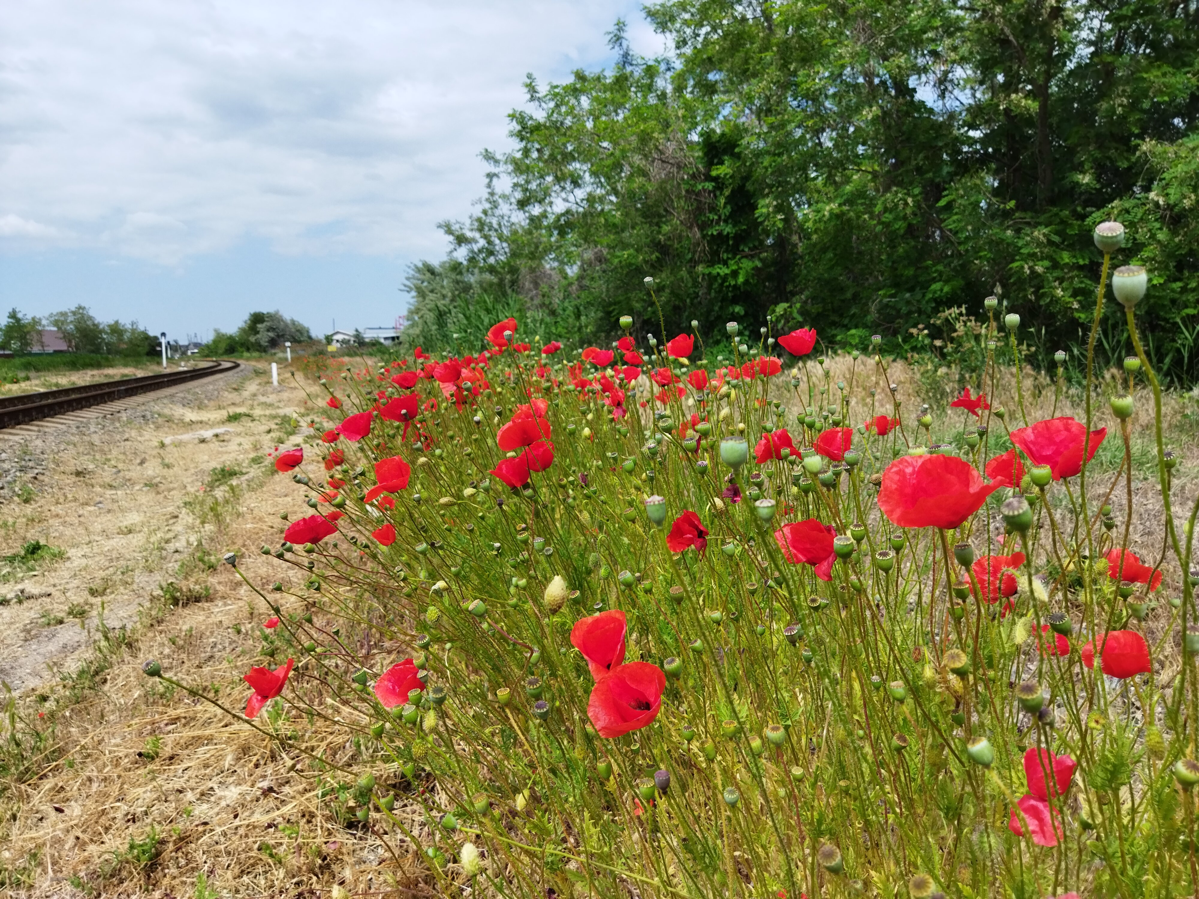 Фото У Моря