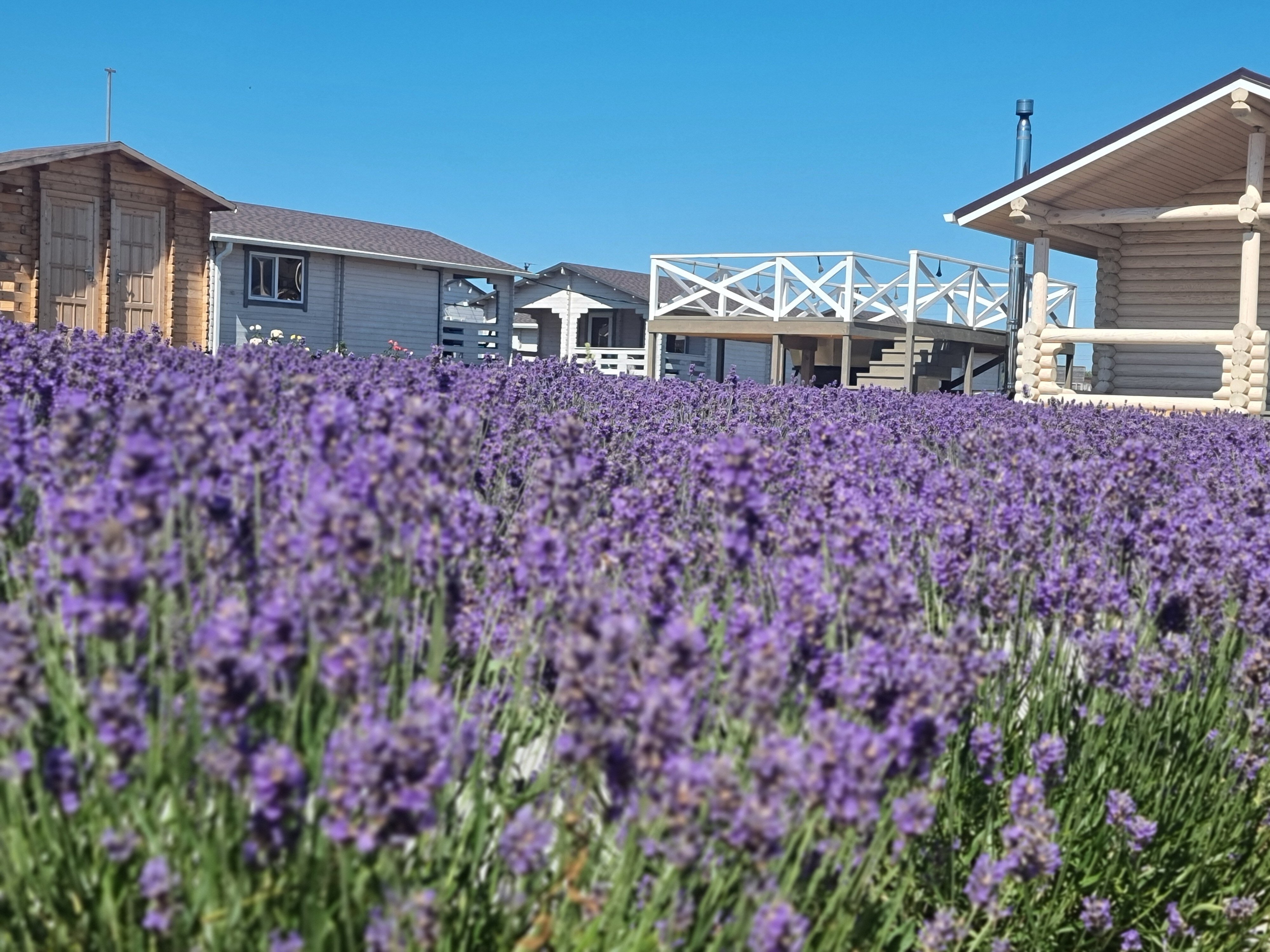 Фото Веселовка Парк