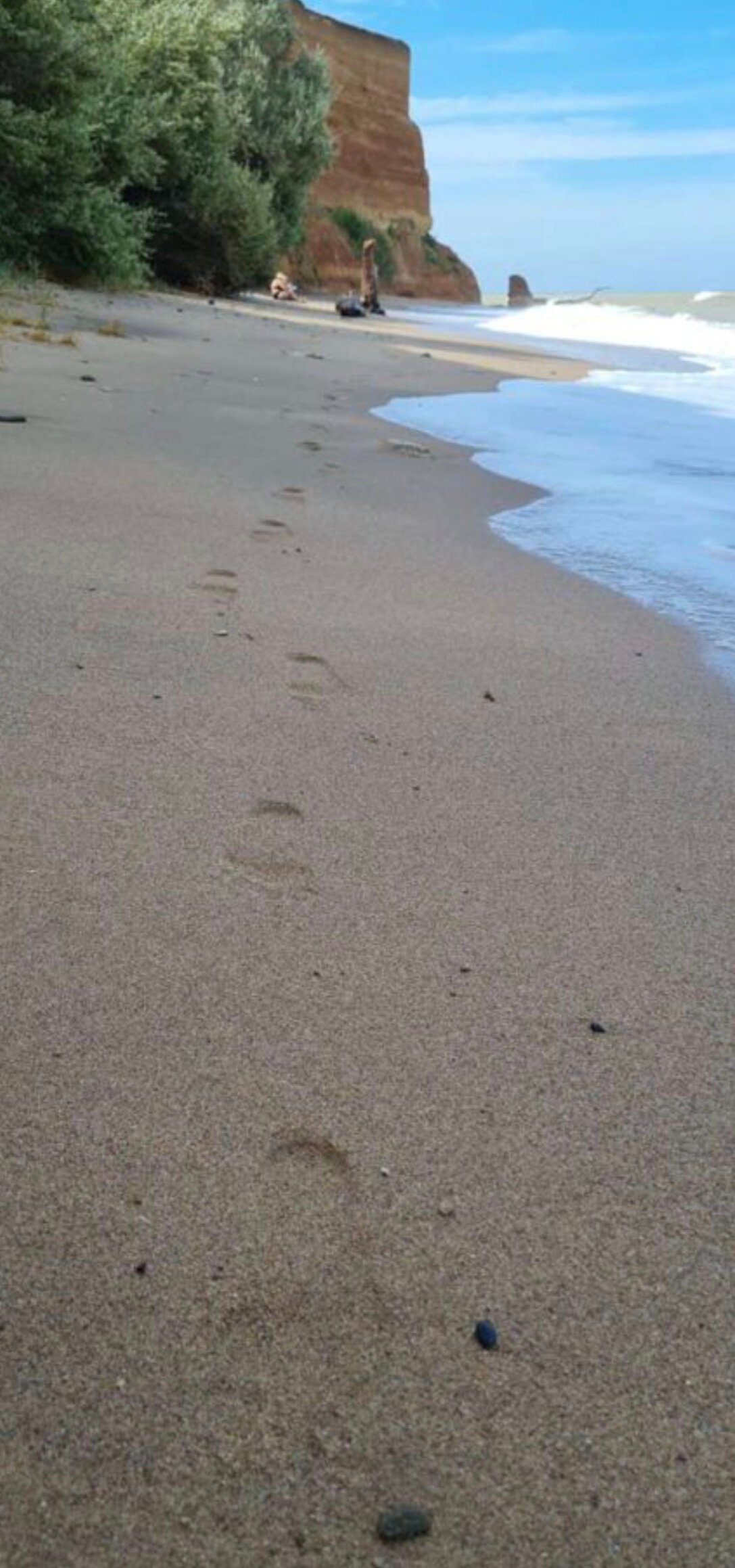 Фото Гостевой дворик