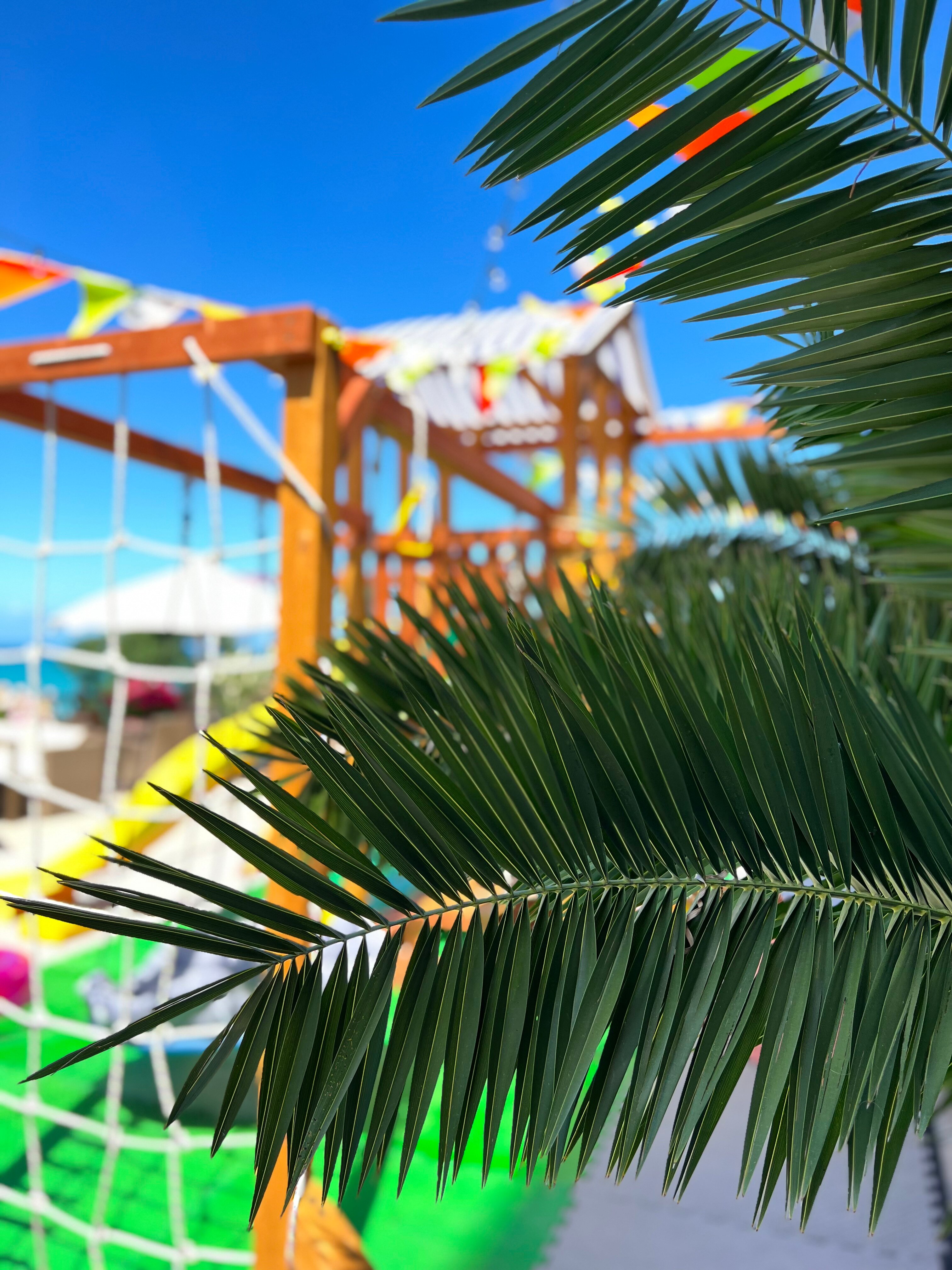 Фото Лооfкий