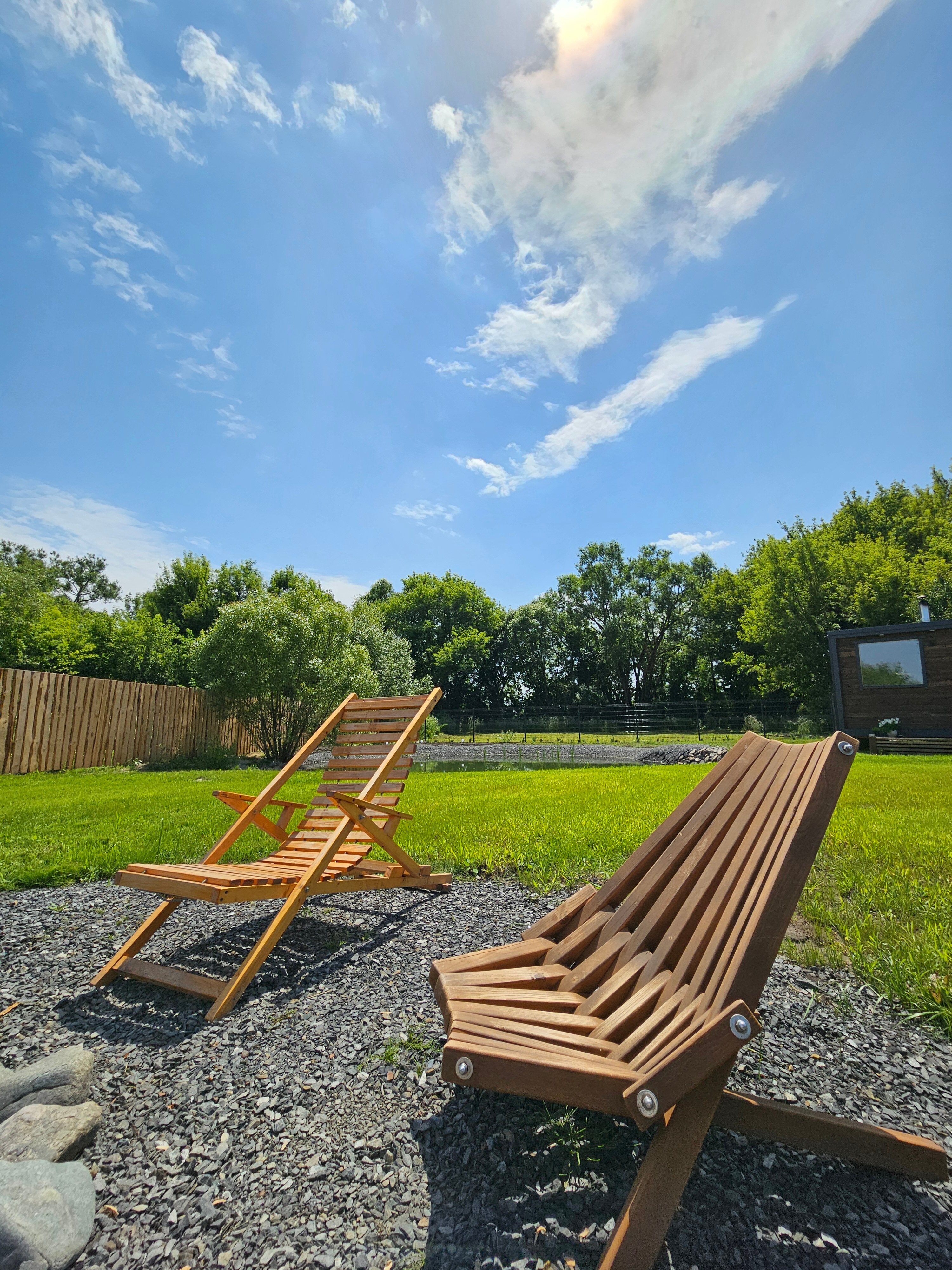 Фото Камыши