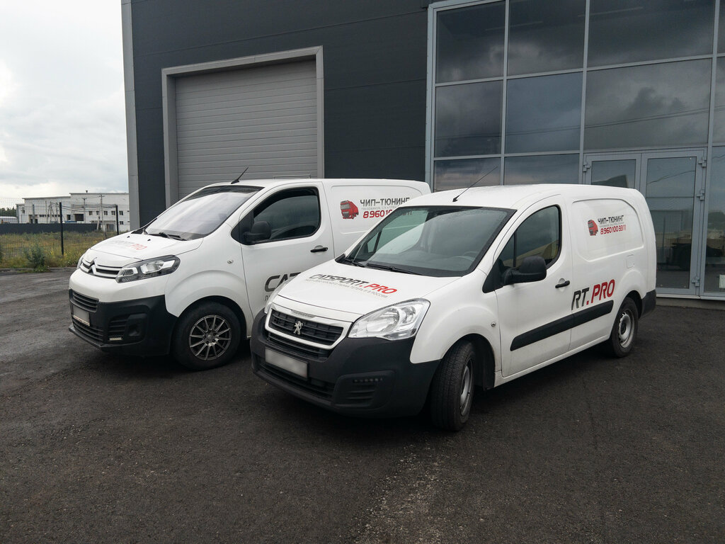 Tuning studio Catsport, Voronezh Oblast, photo