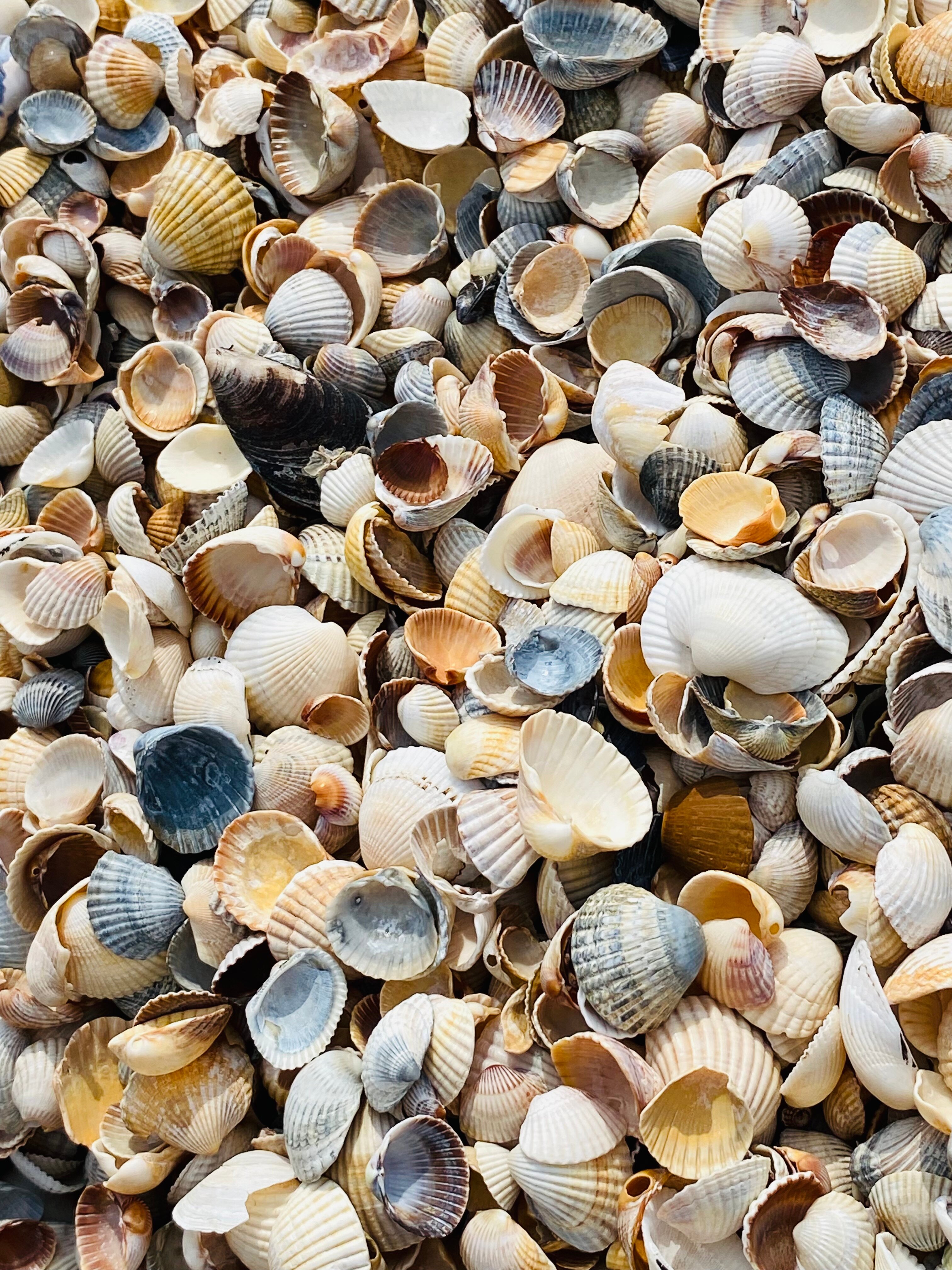 Фото Azov_lounge