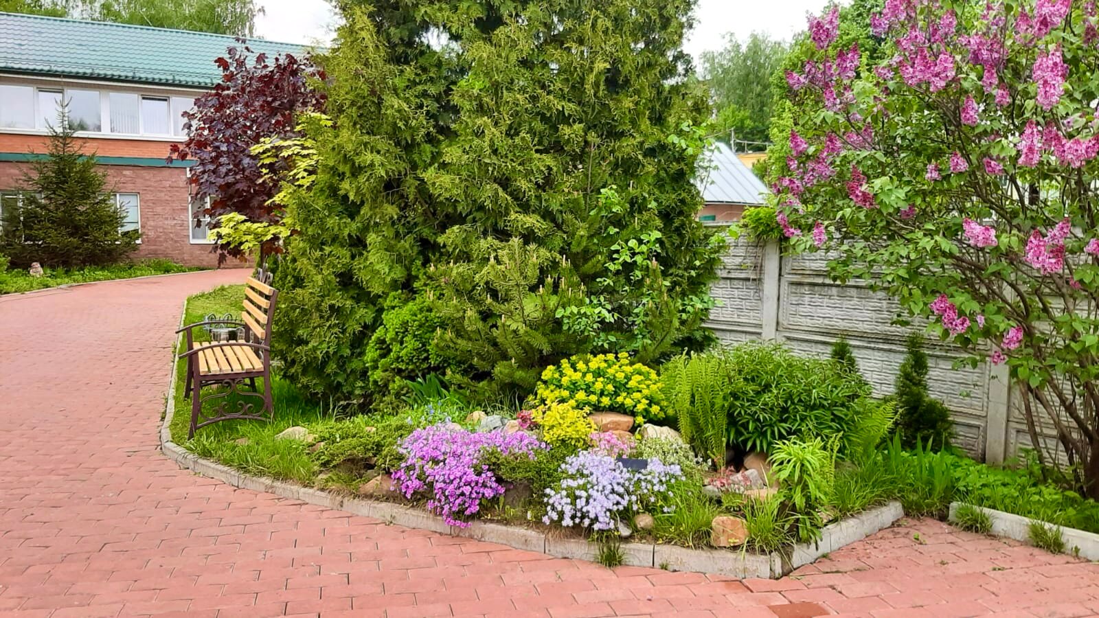 Фото Альберт