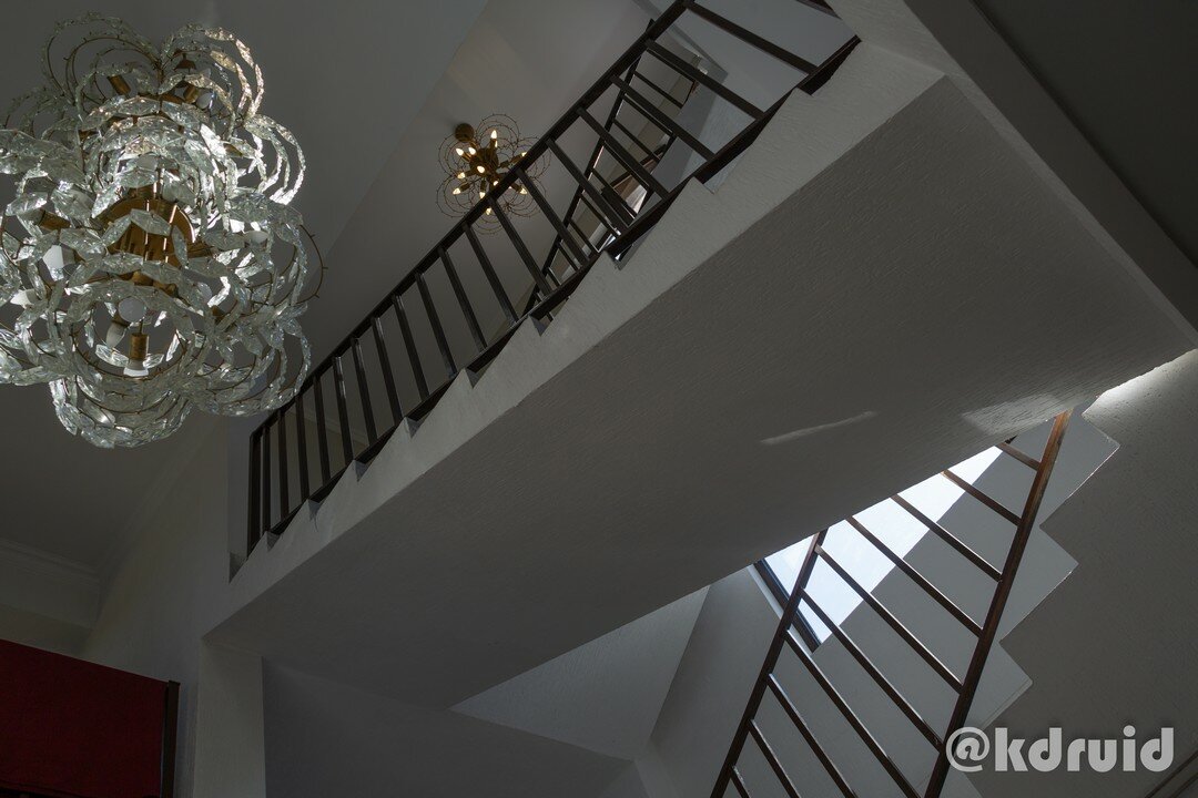 Фото Цитрус 1