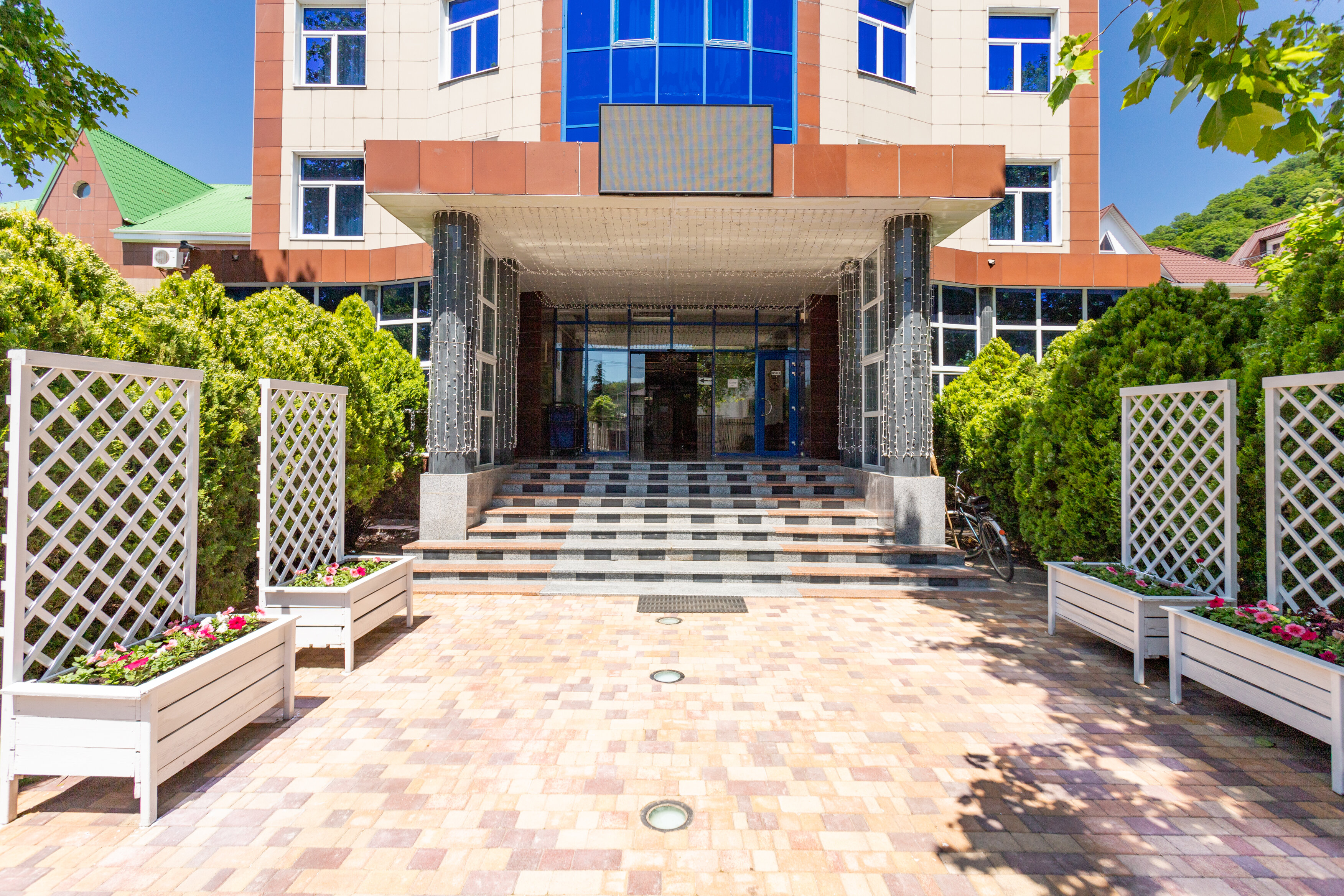 Фото Кипарис