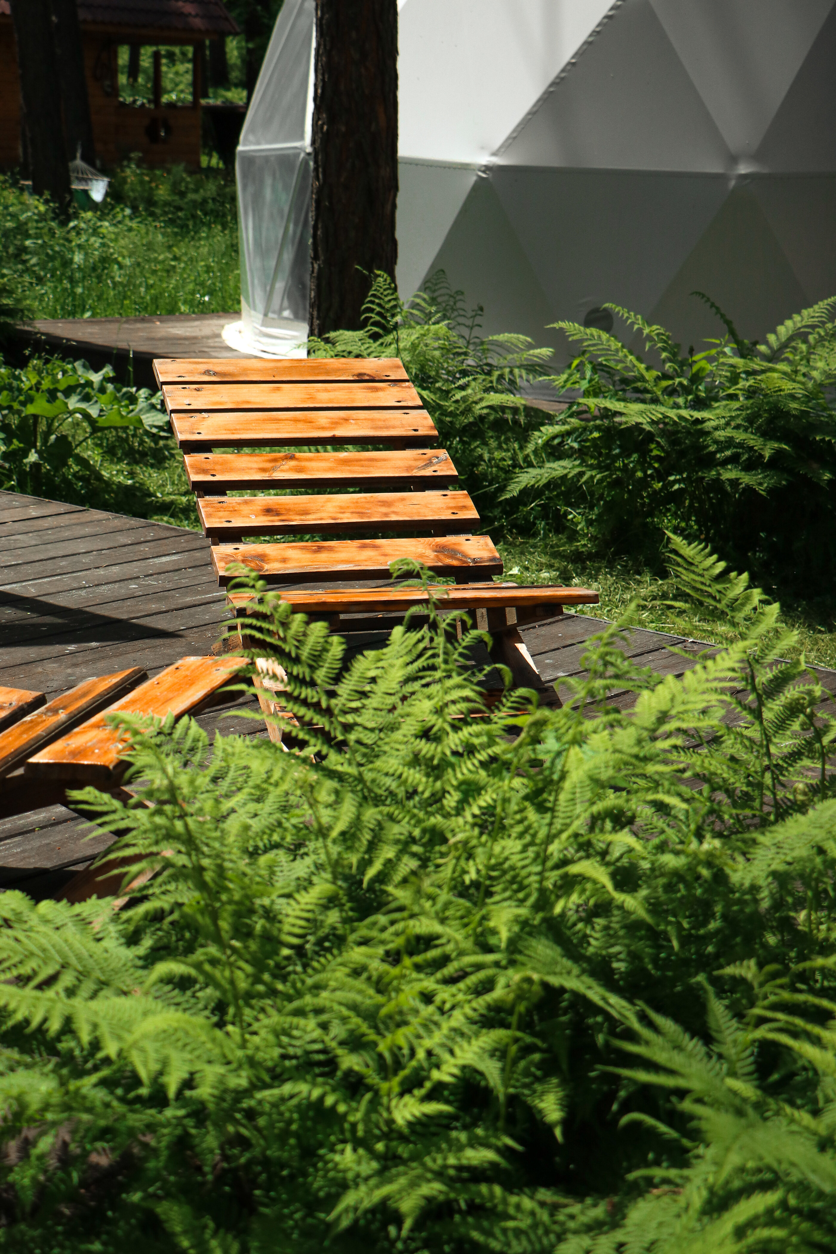 Фото Купольная база Royal Forest