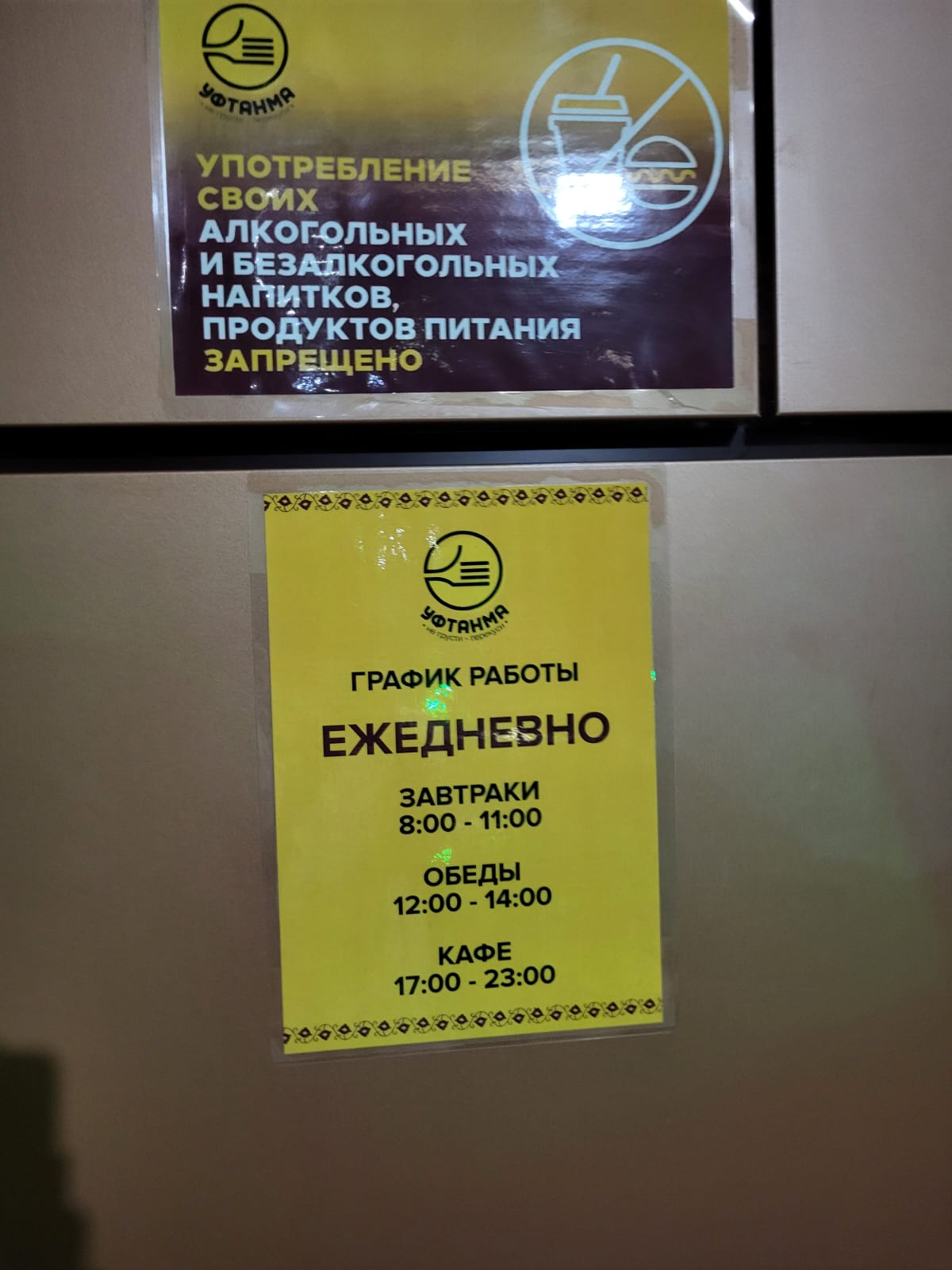 Фото Азалия Мимоза