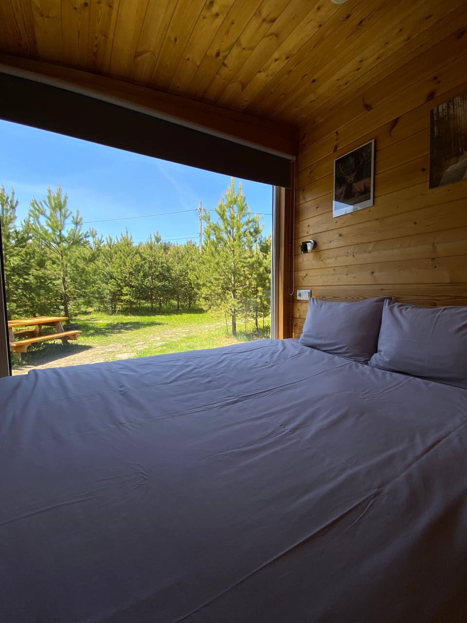 Фото Домик в Ёлках