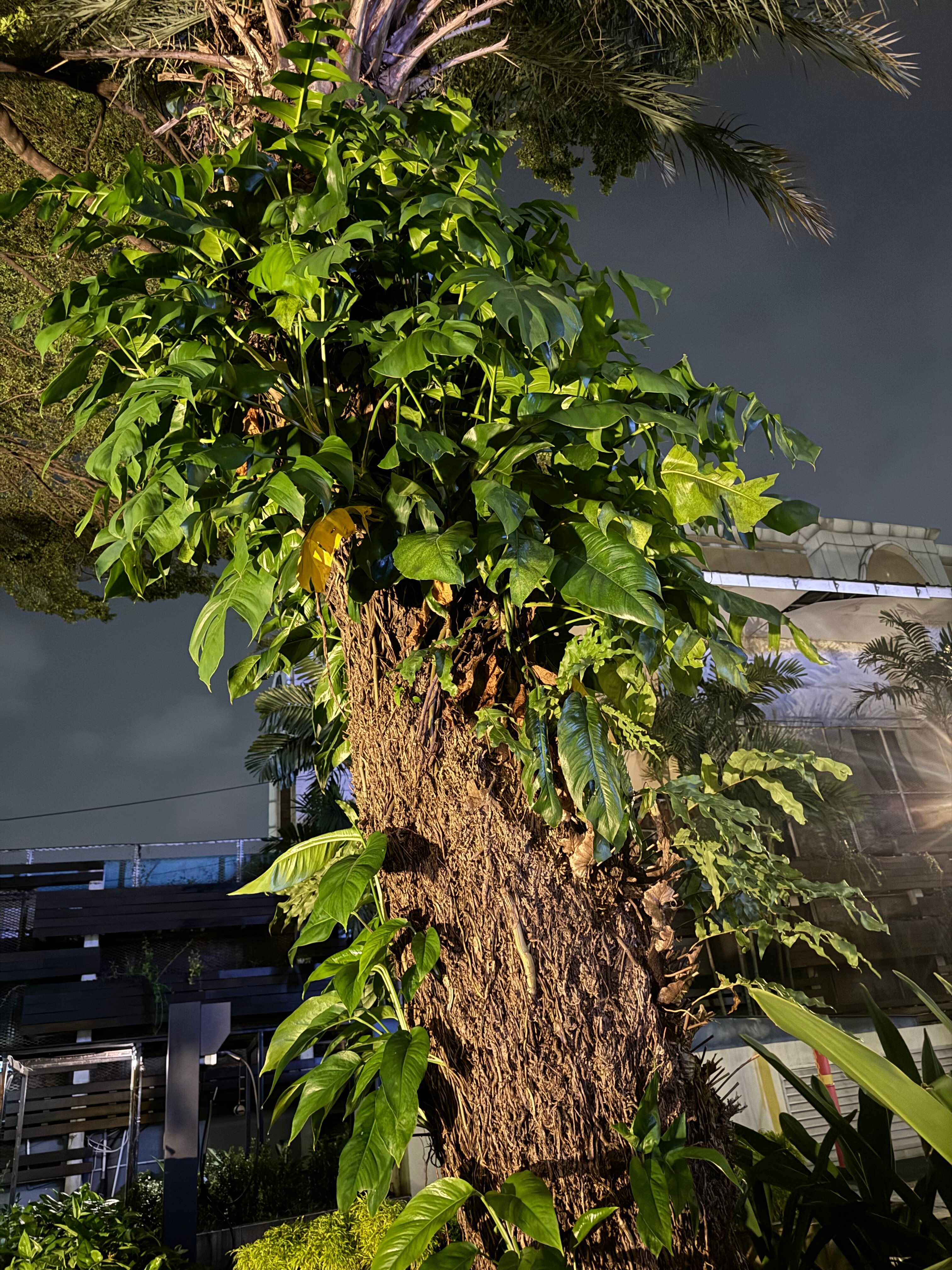 Фото Fraser Residence Menteng Jakarta