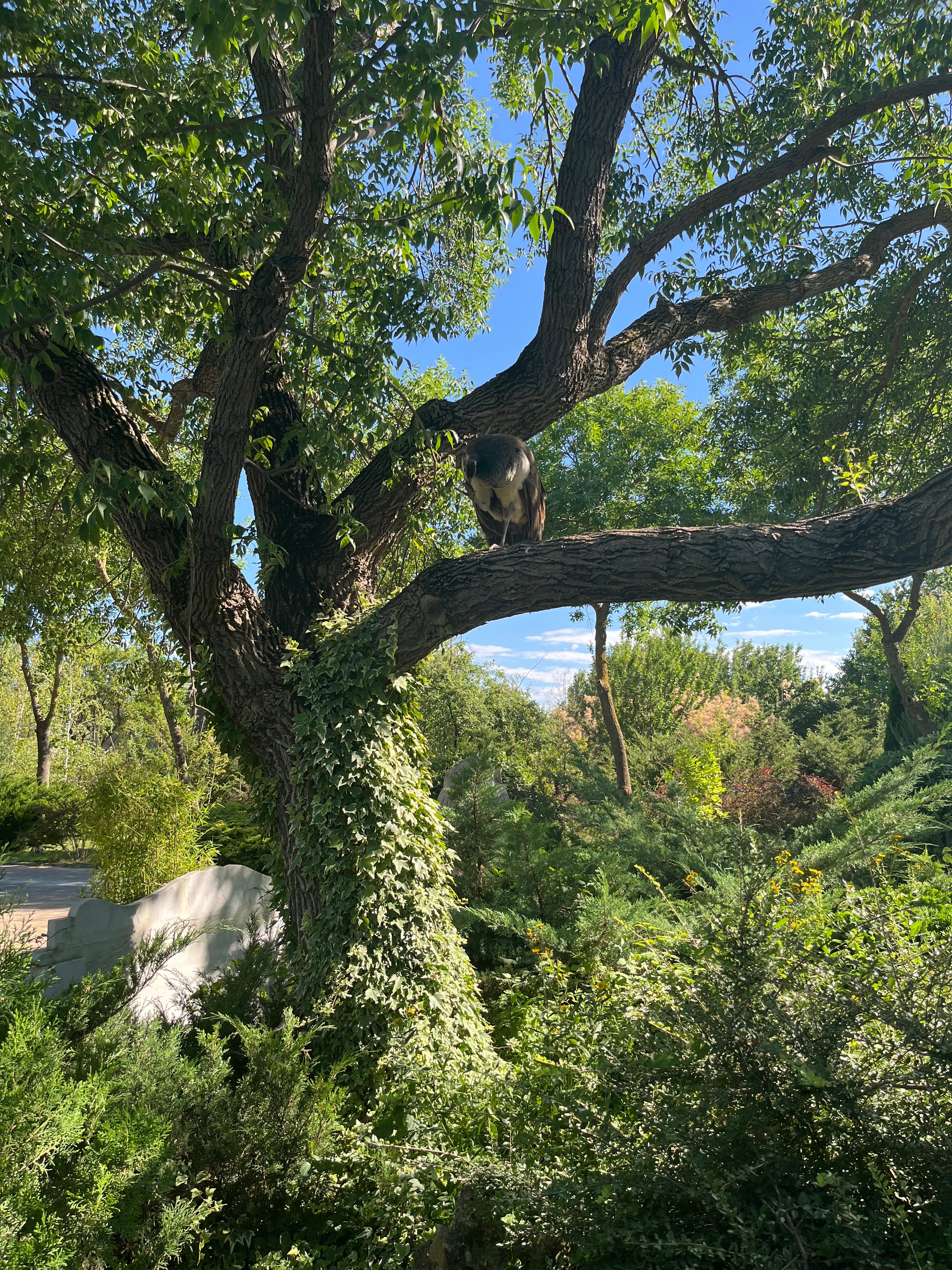 Фото Эллинг у Зои