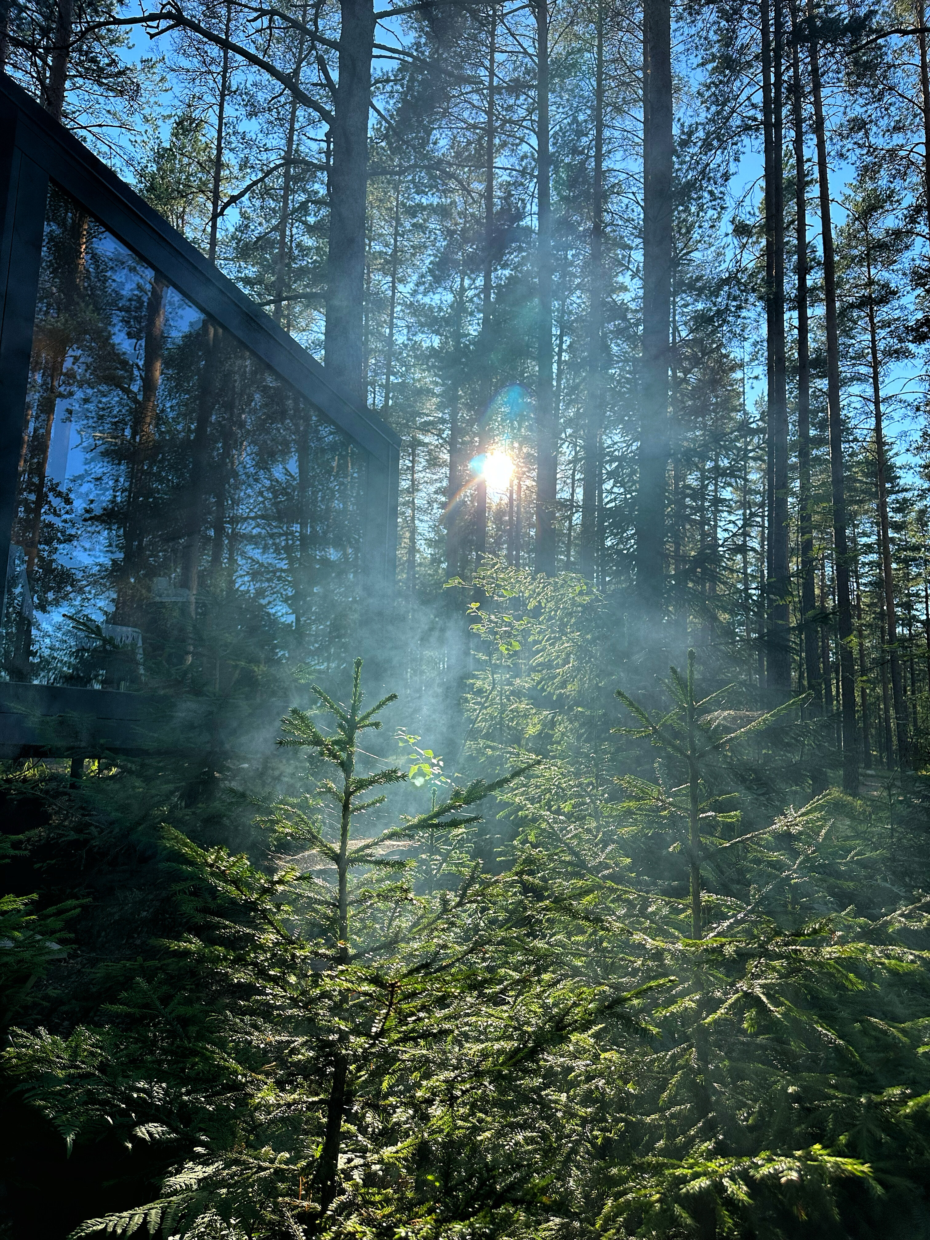 Фото Зеркальное СПА