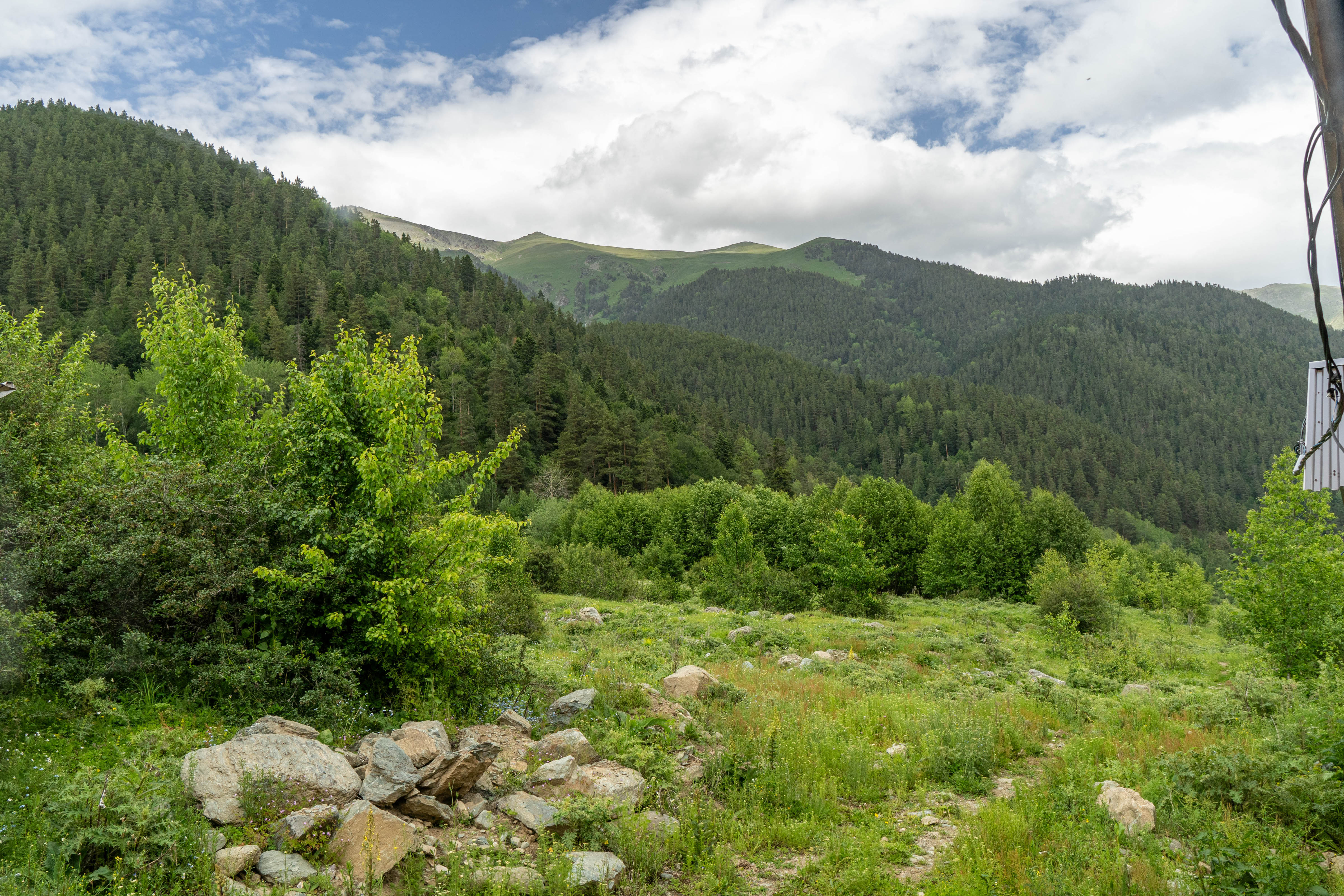 Фото Астока