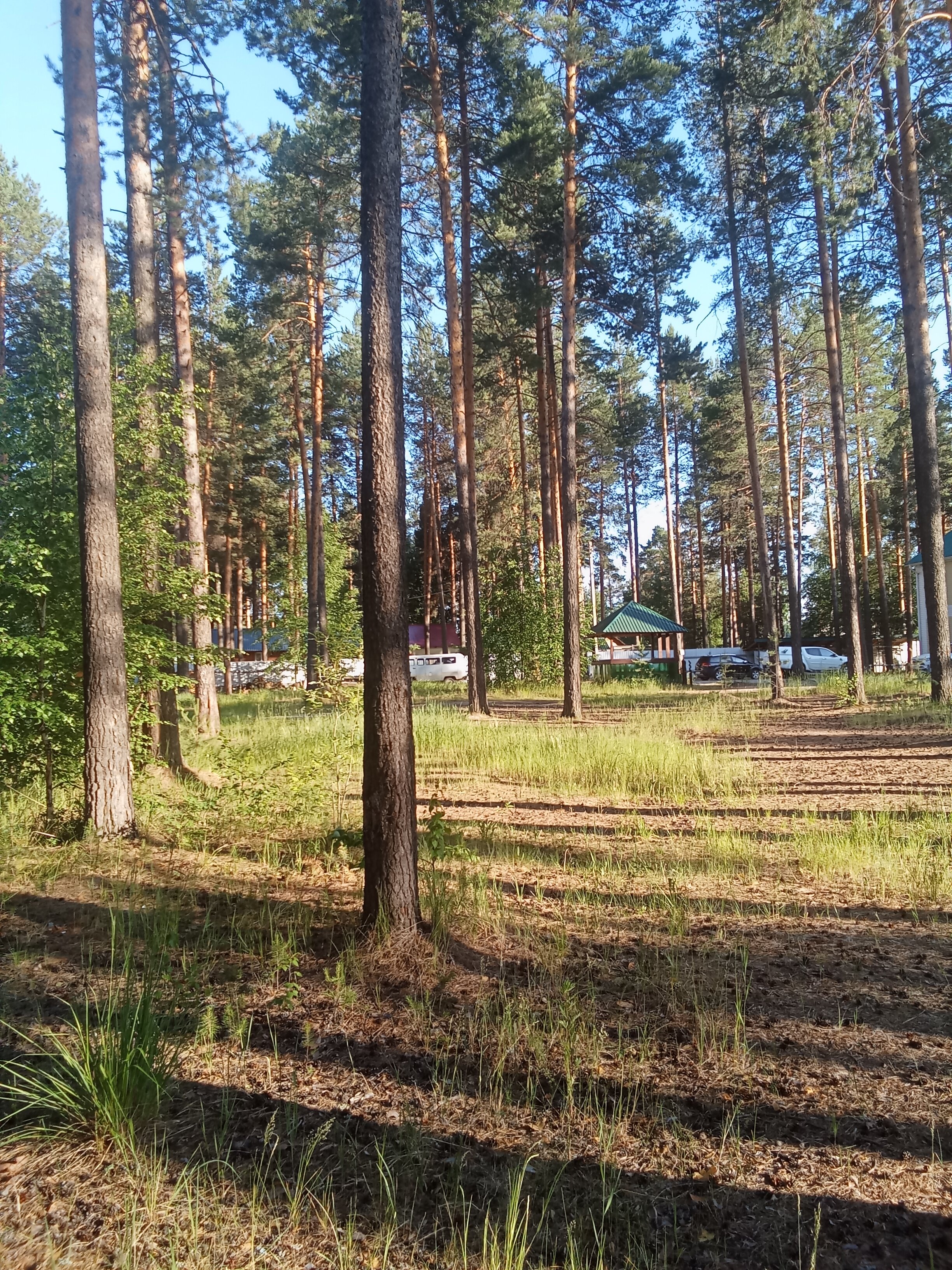 Фото Регион 86