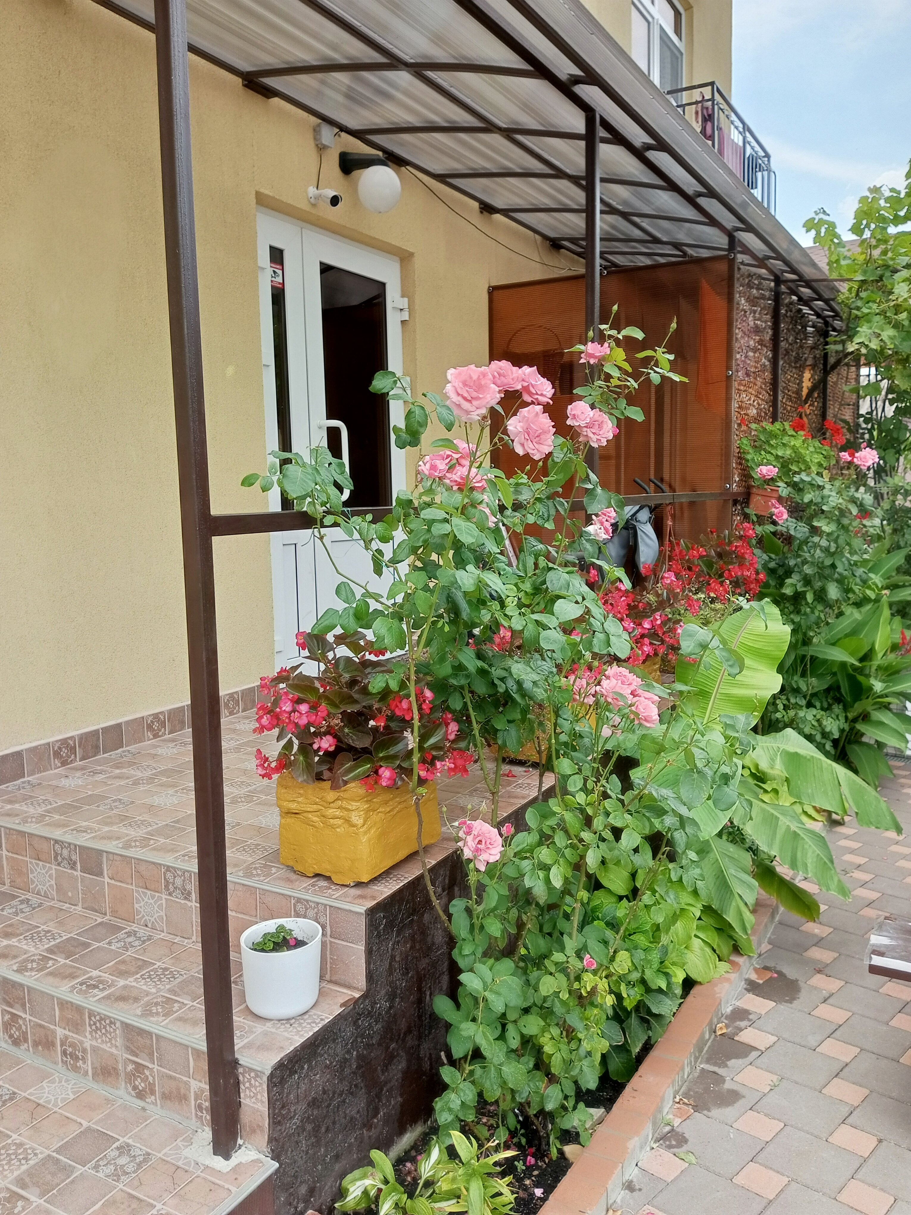 Фото Янтарная гавань