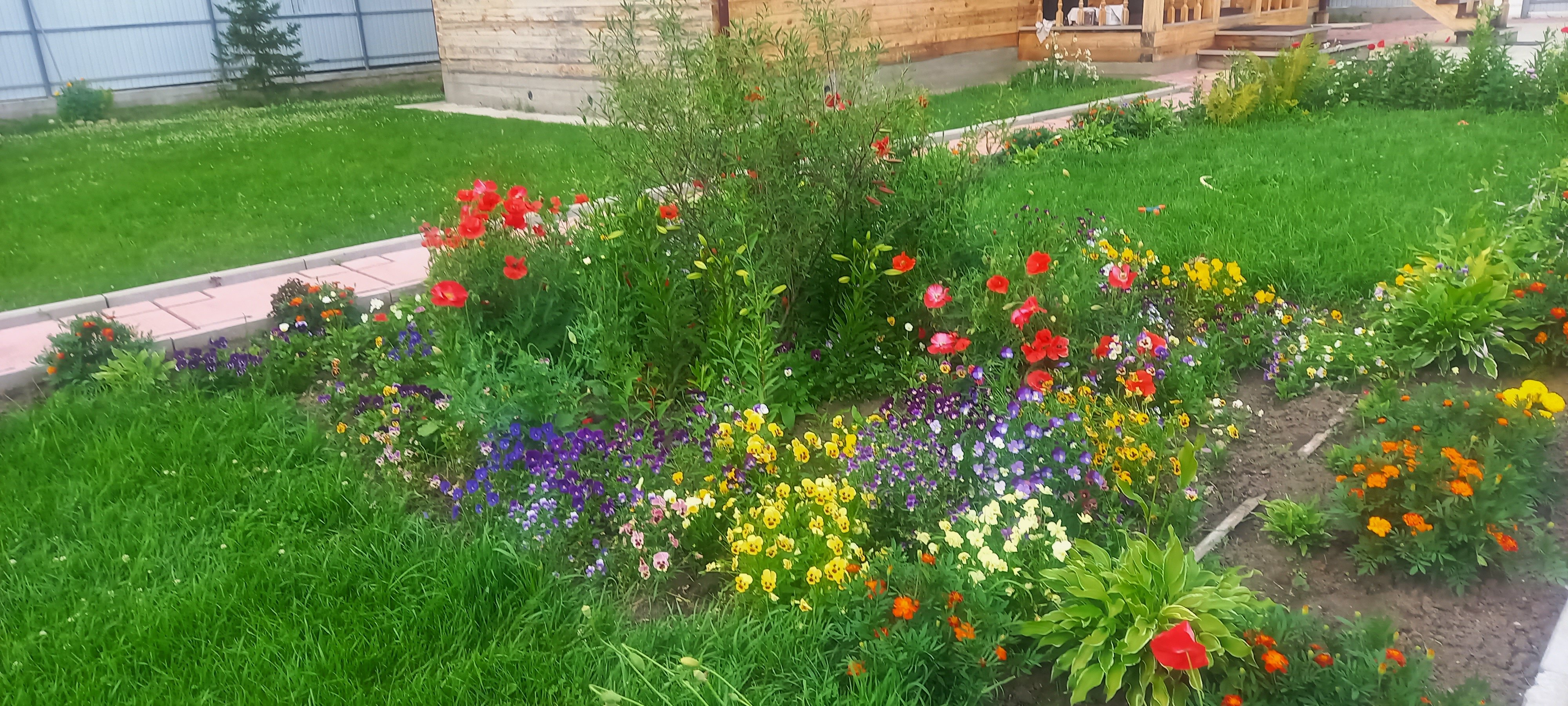 Фото Семейный уют