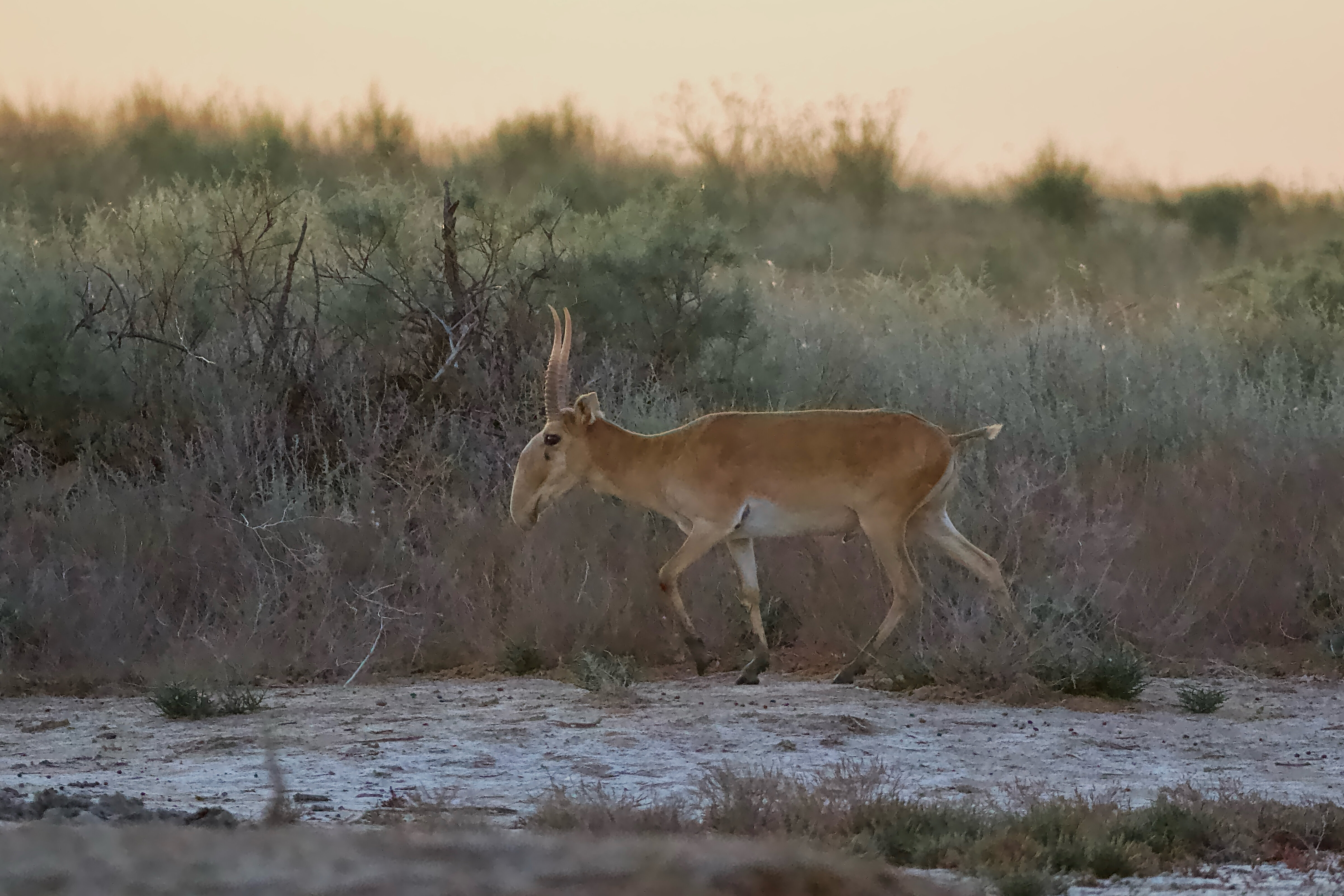 Фото Жемчужина Сибири