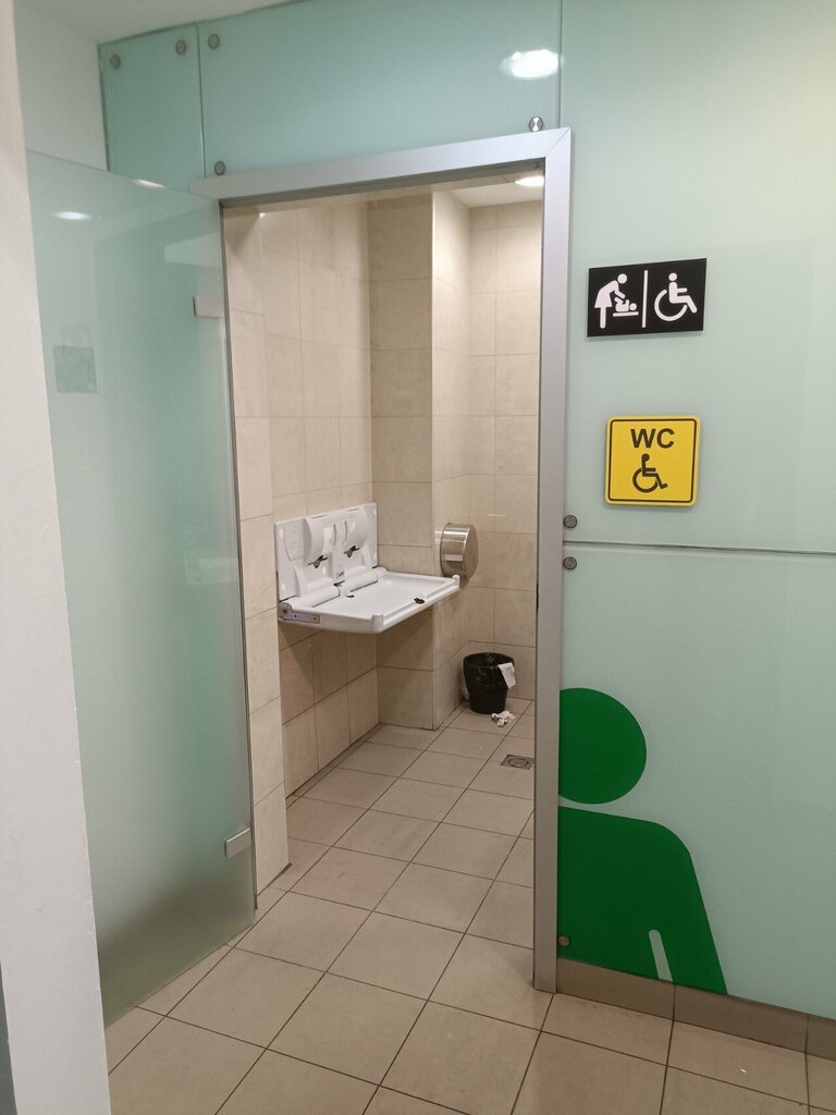 Accessible toilet Туалет для инвалидов, Mytischi, photo