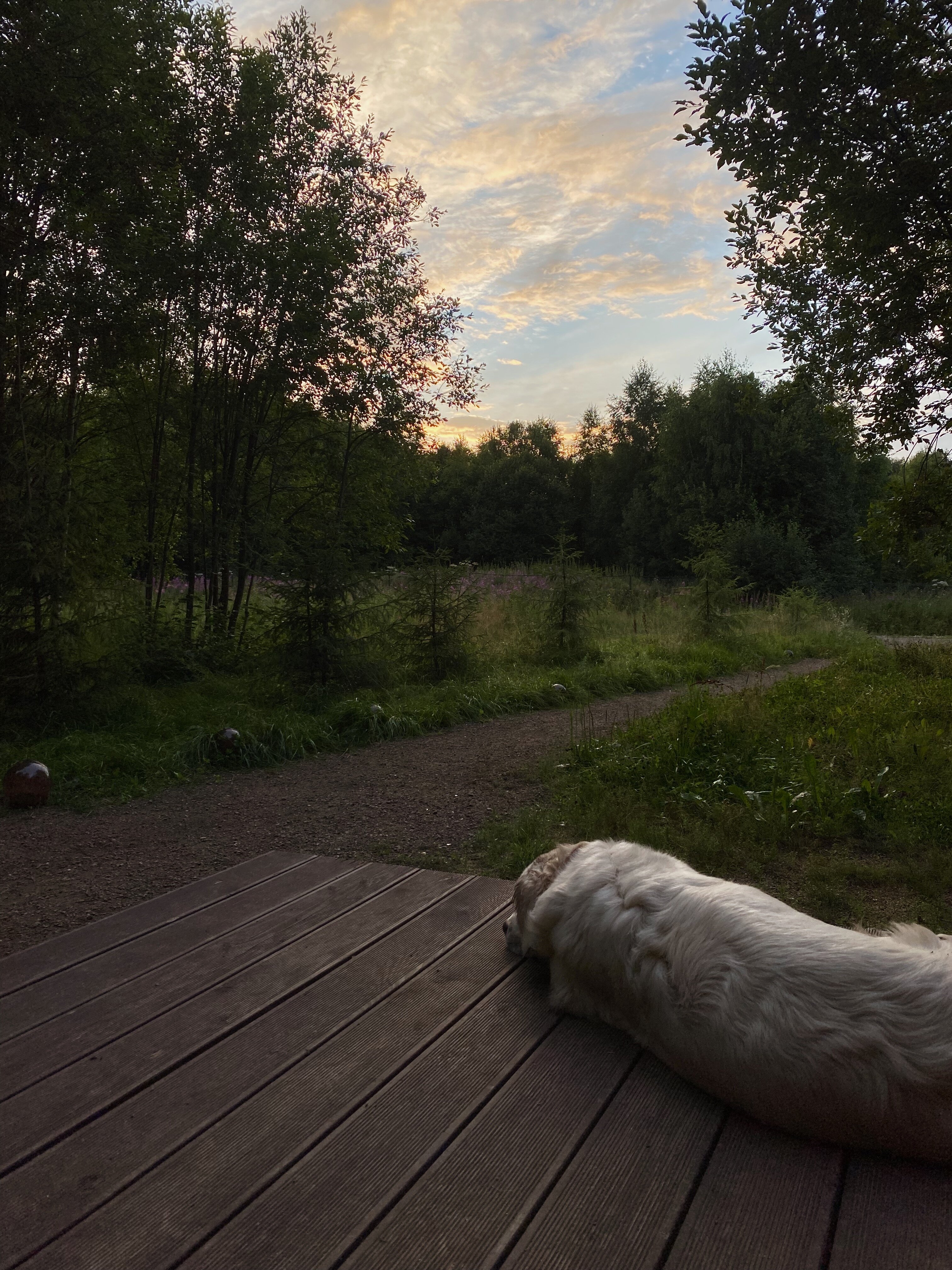 Фото Парк Север