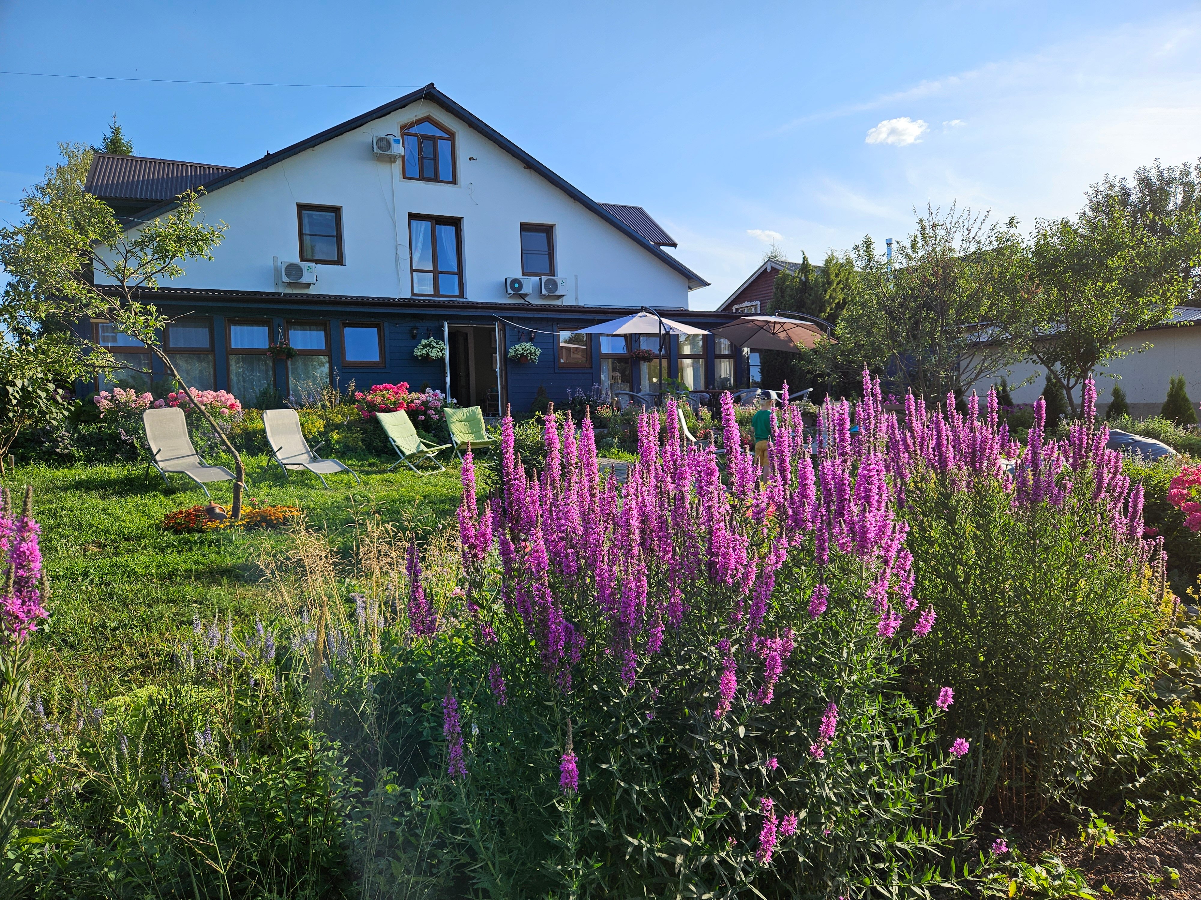 Фото Гостевой дом Суриковых