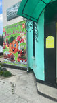 Апельсин (posyolok gorodskogo tipa Progress, ulitsa Pushkina, 14), greengrocery