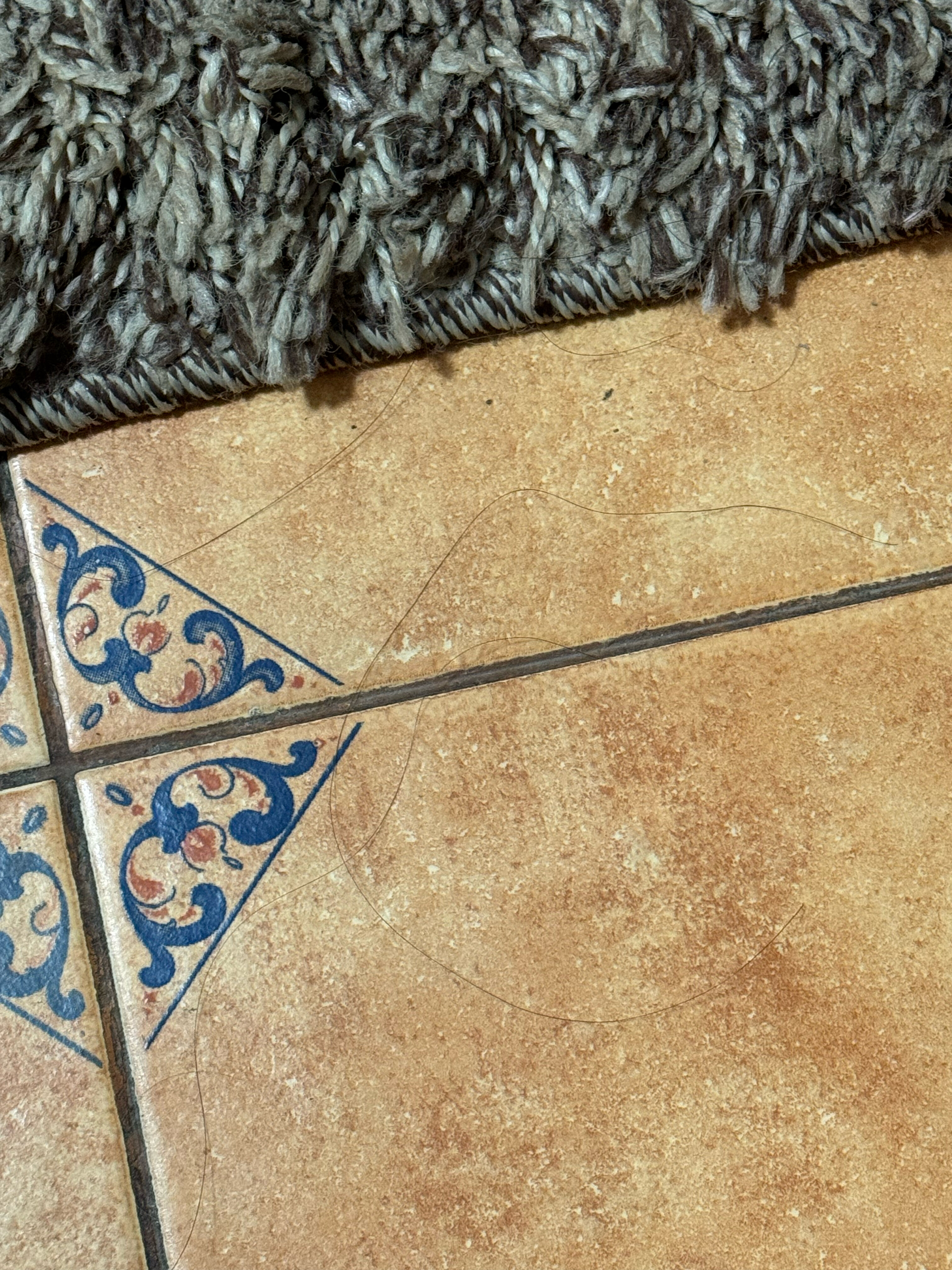 Фото Моцарт ин