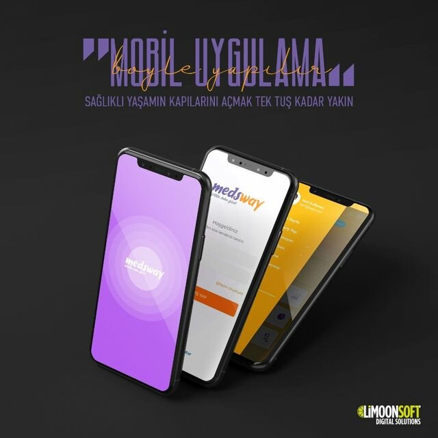 Software companies Limoonsoft Software & Design, Konya, photo