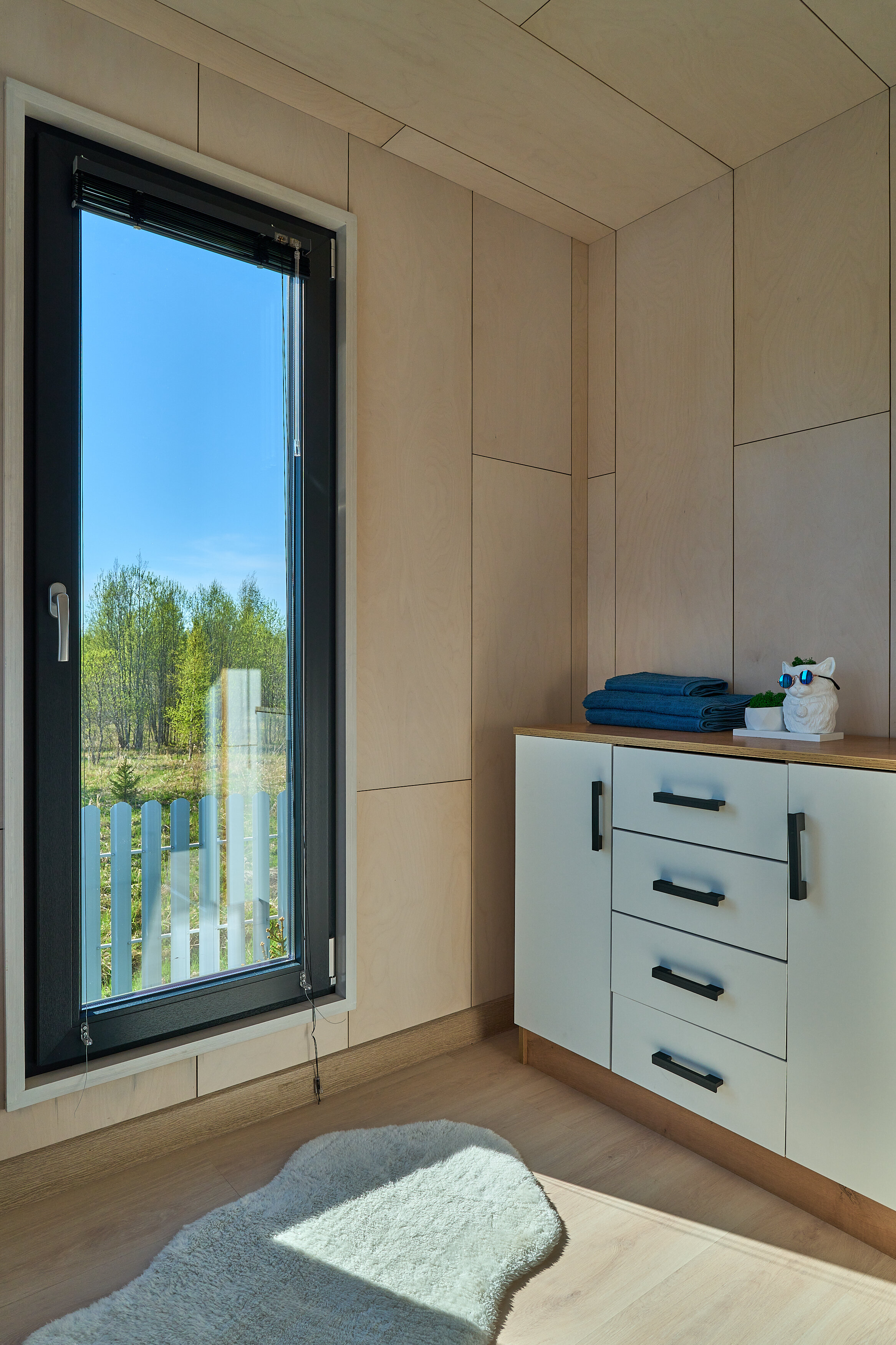 Фото Зеленый лес