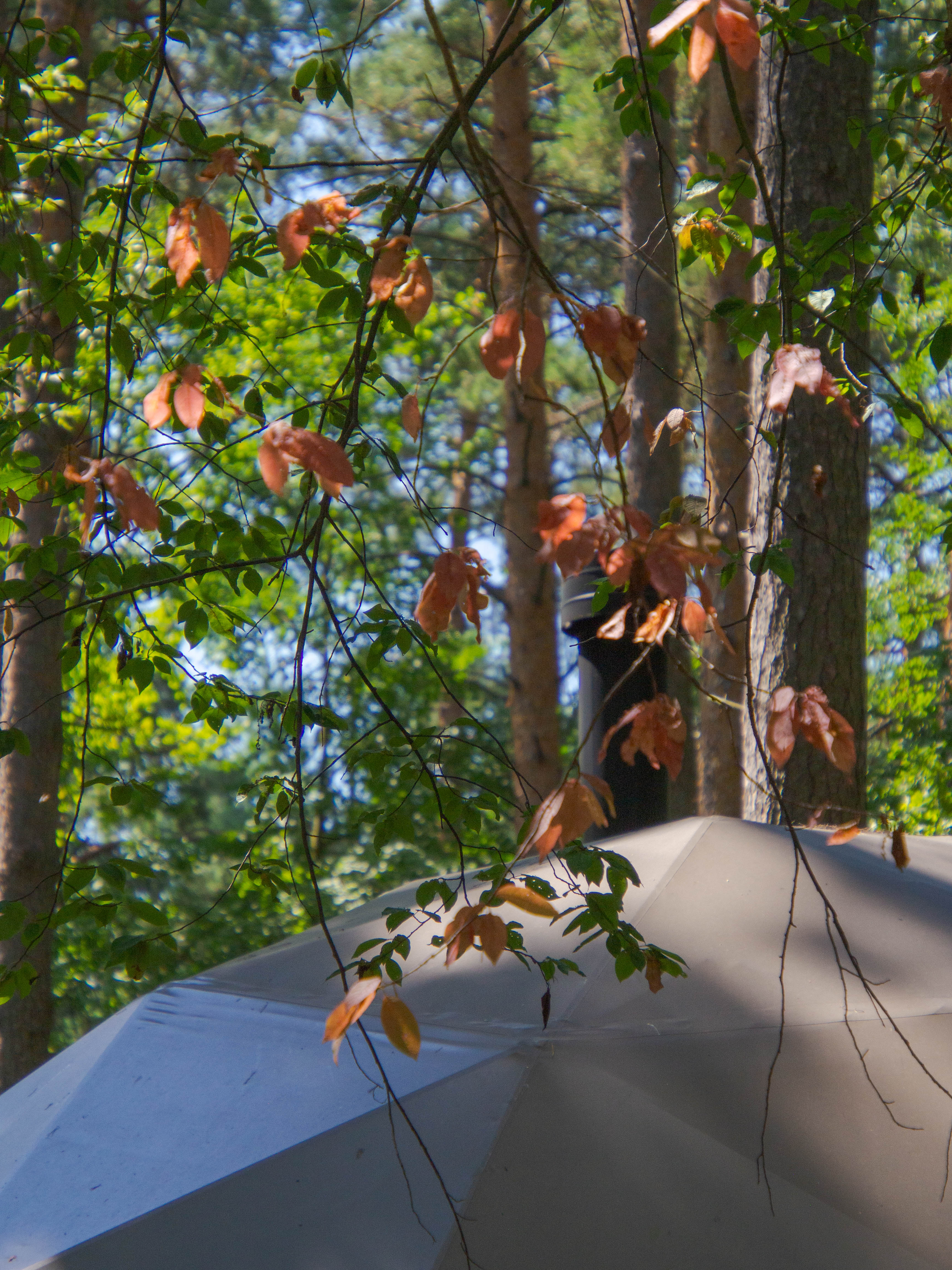 Фото Вили Улей ОКА