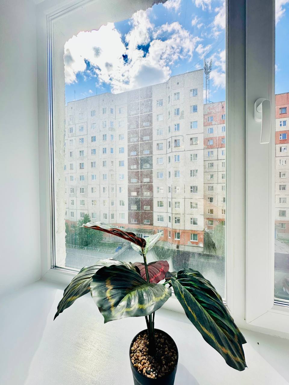 Фото 89 Регион