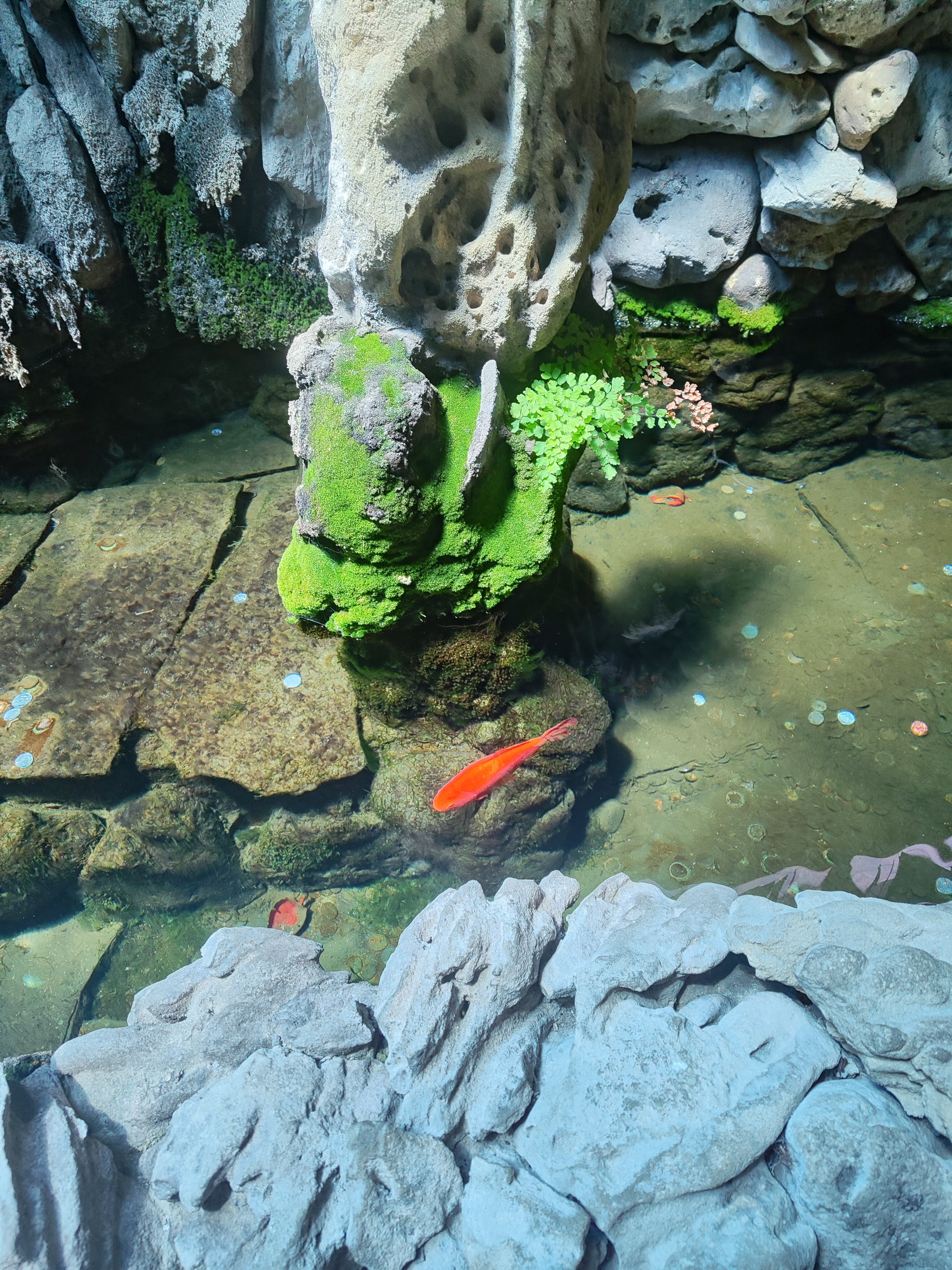 Фото Эдэран