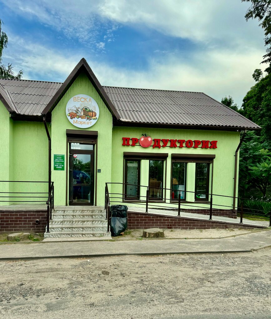 Магазин продуктов Продуктория, Гомельская область, фото
