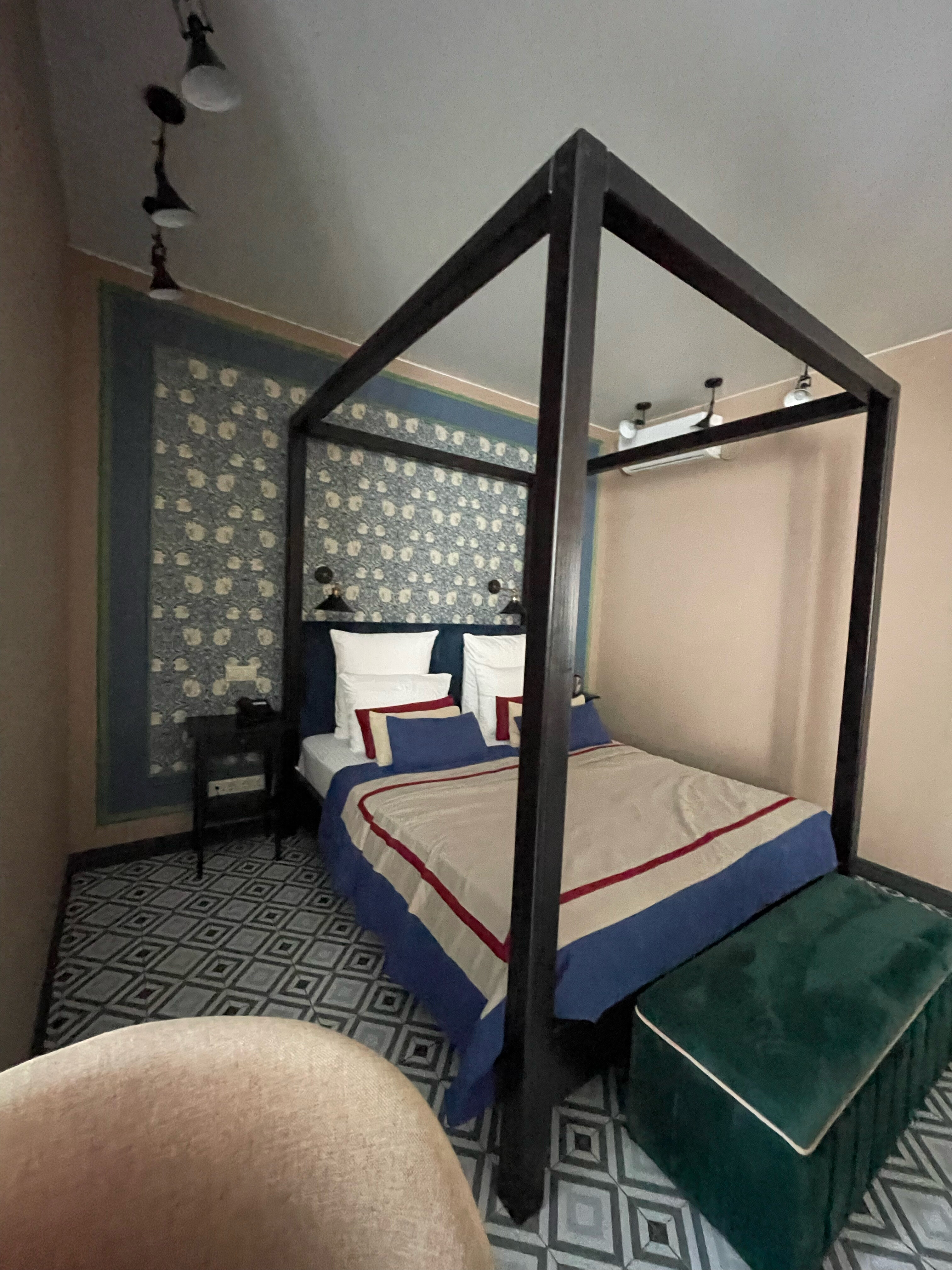 Фото Альбатрос