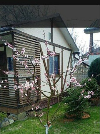 Фото Дача у моря