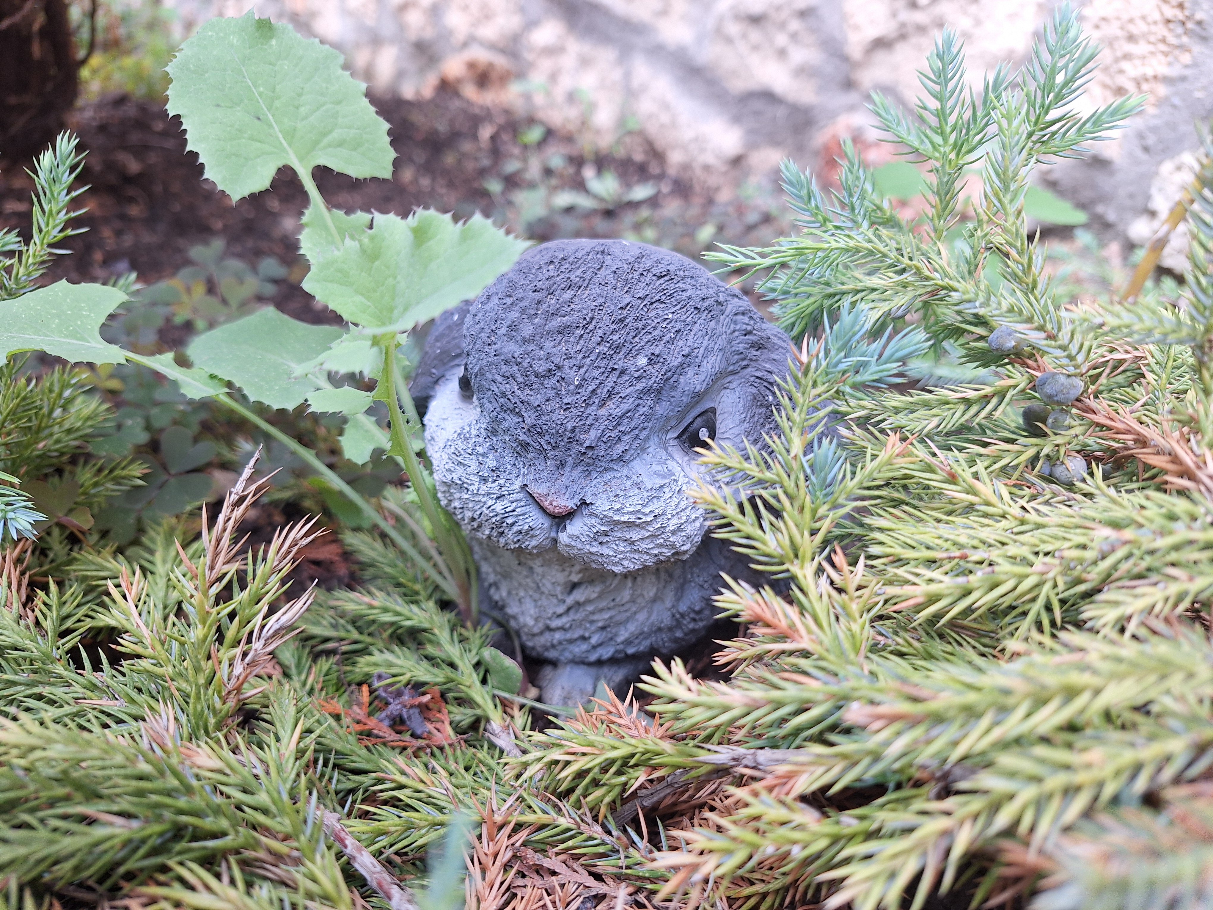 Фото Пансионат Соната