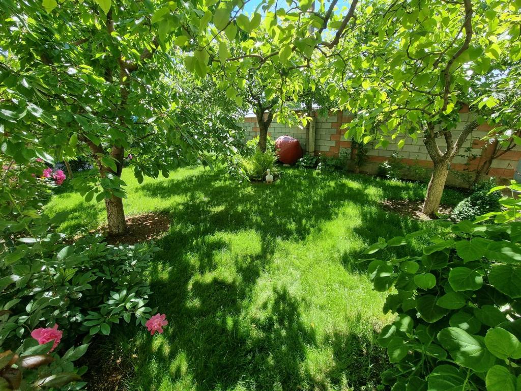 Фото Гостевой дом Морячка