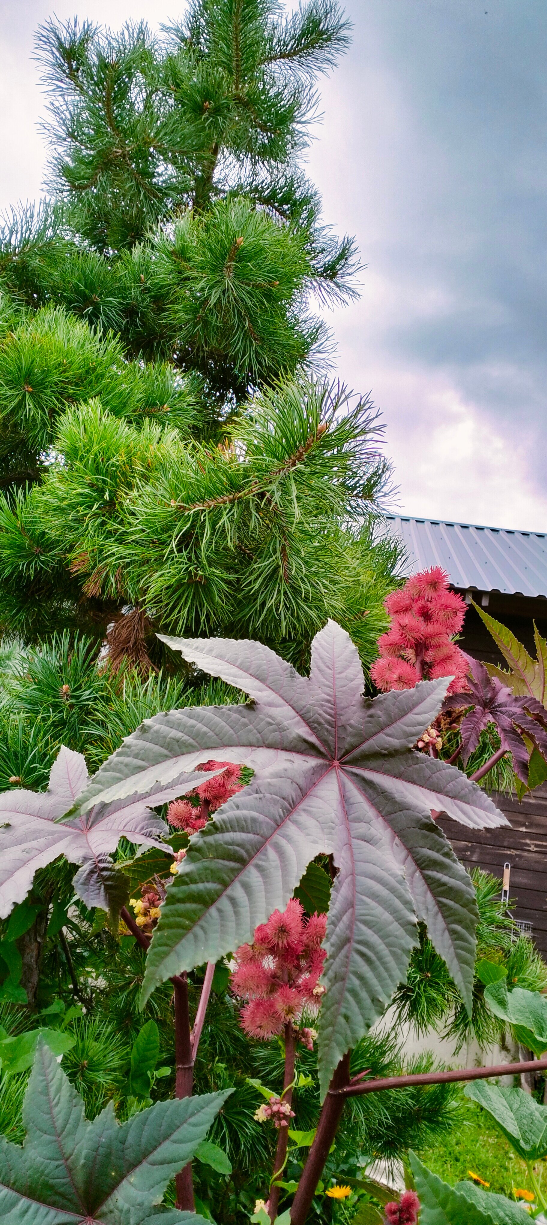 Фото У родника